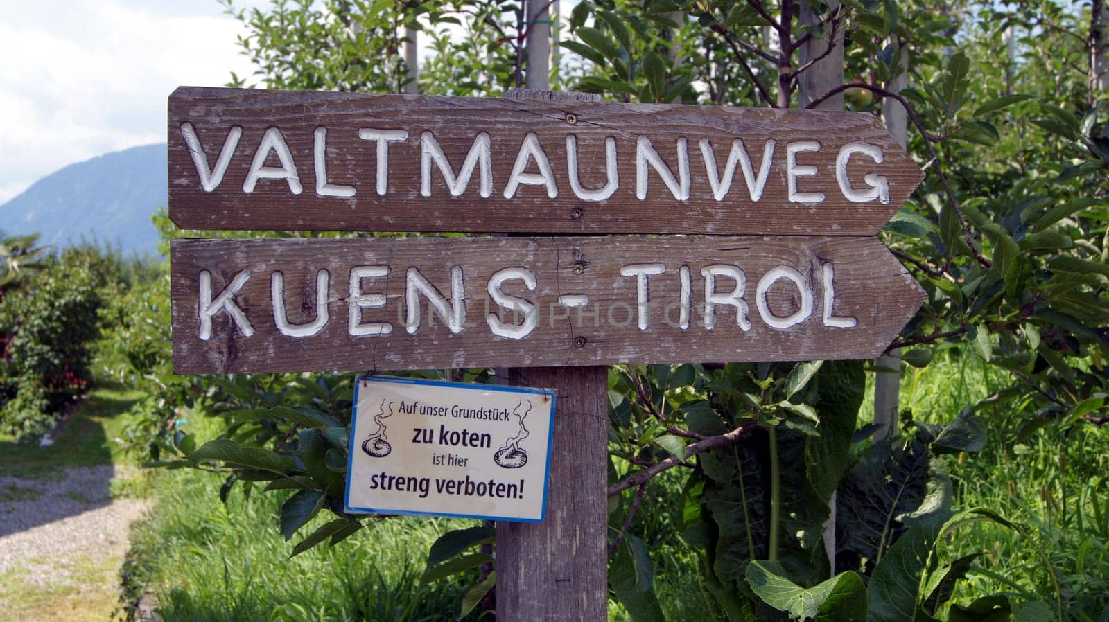 Signpost,South Tyrol
