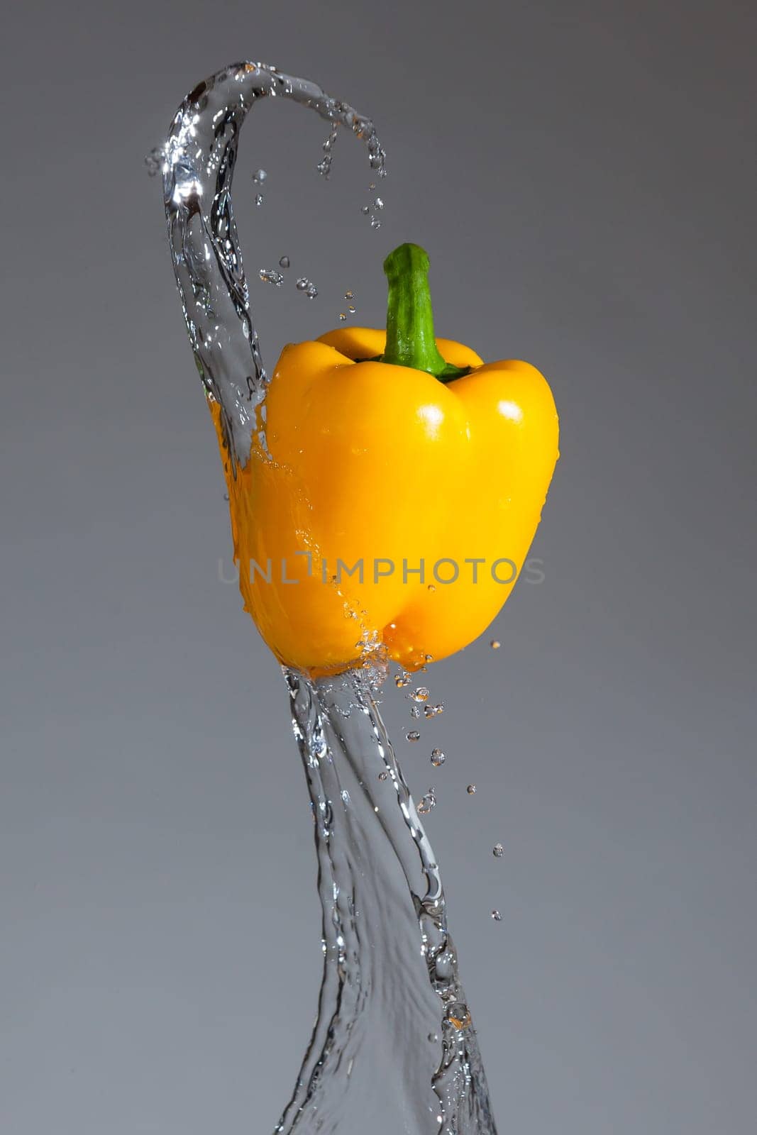 Splashing yellow pepper into water, over gray backgrounds