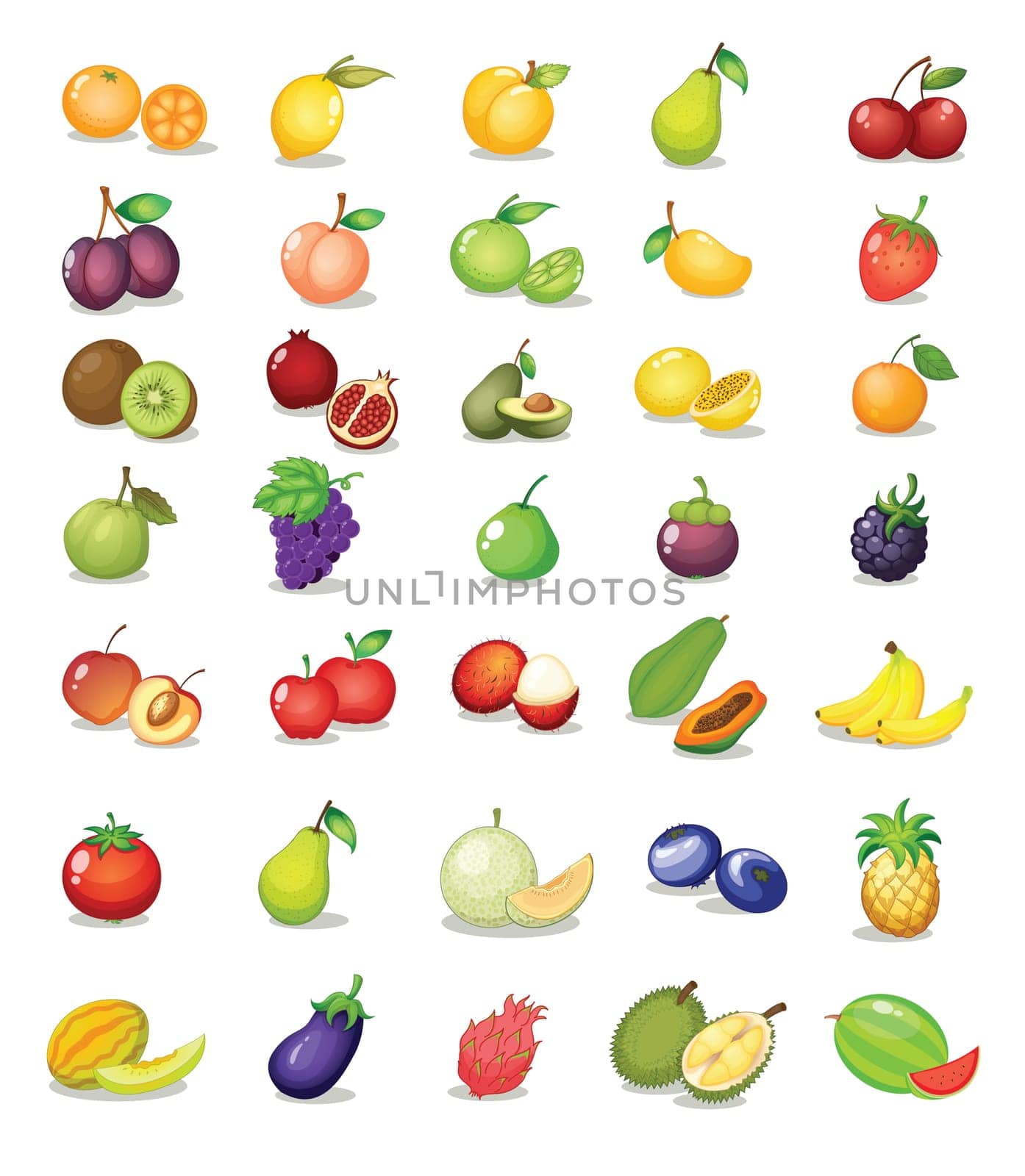 Illustration of fruit on white background