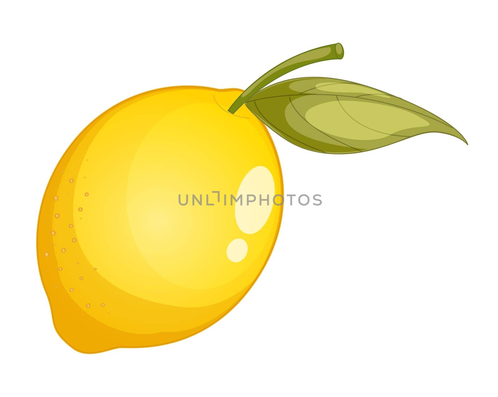 Illustration of friut on a white background