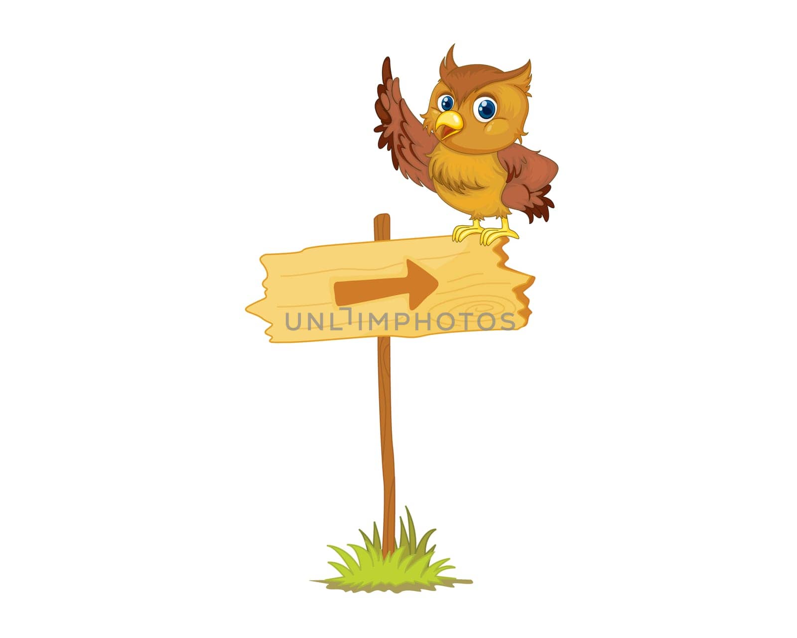 Illustration of an owl on a sign
