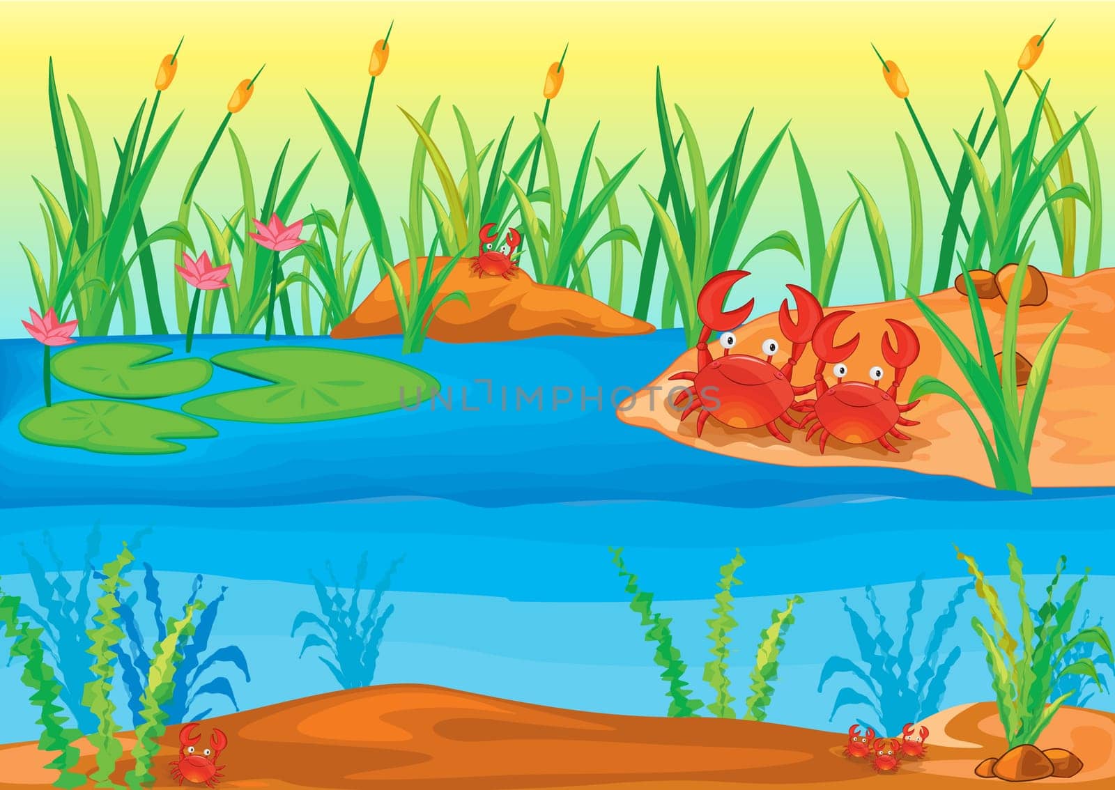 Detailed illustration of a pond