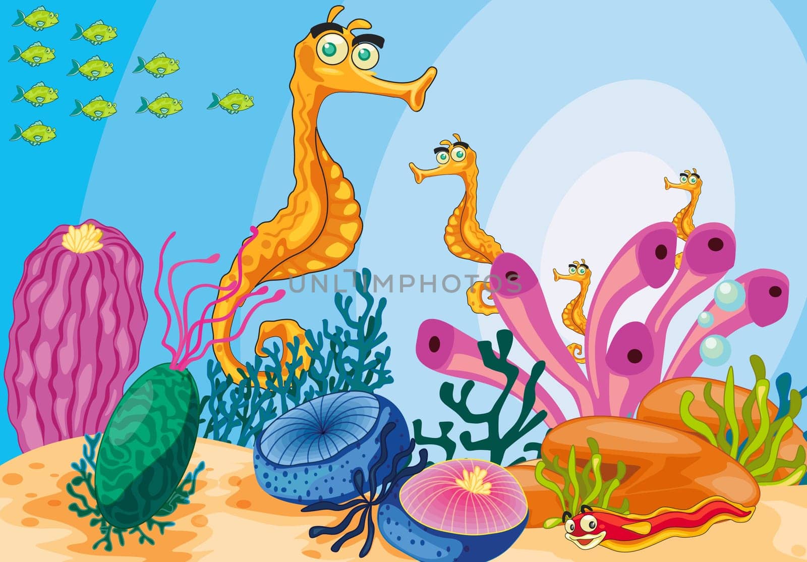 illustration of a sea animals on a white background