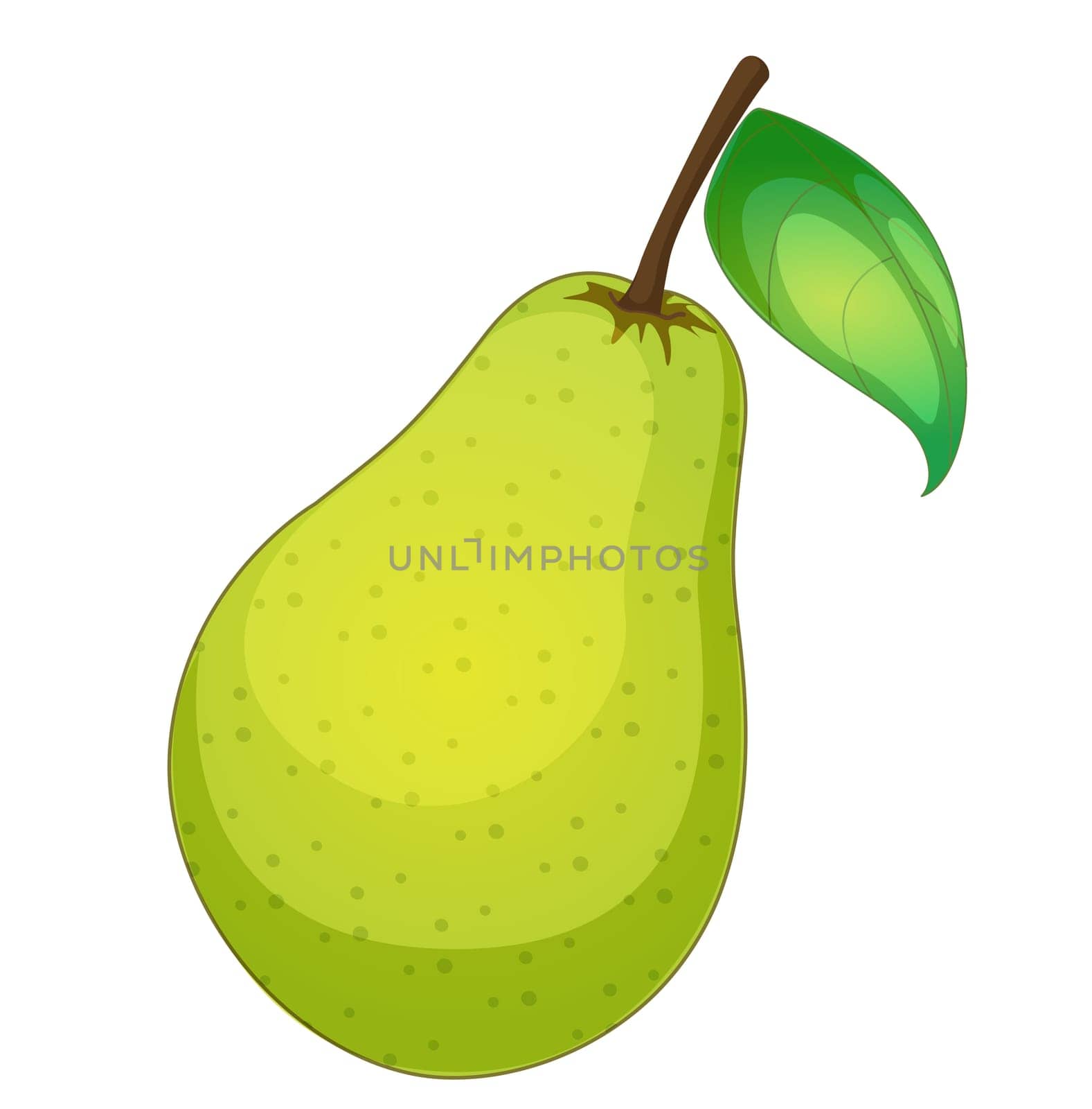 Illustration of friut on a white background