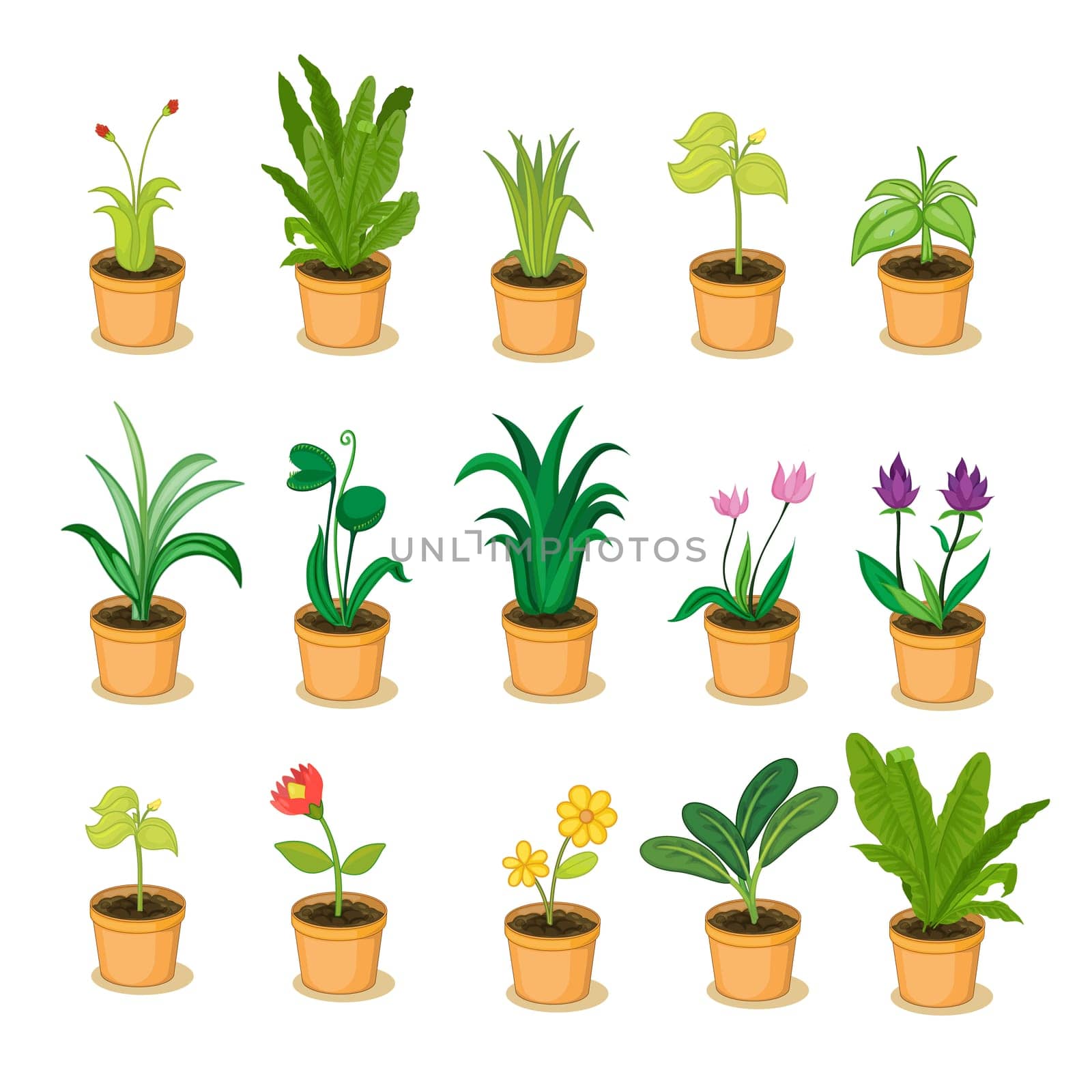 series of isolated plant in pot illustrations
