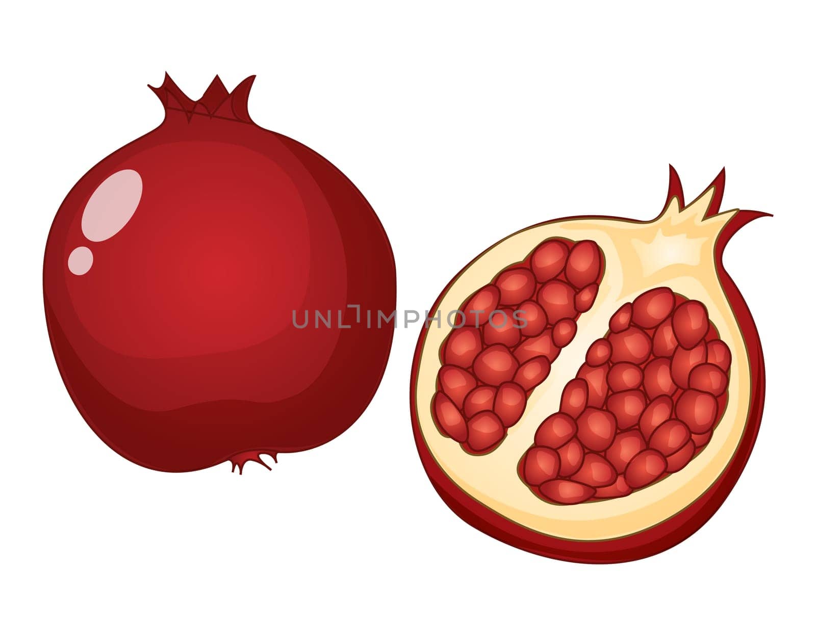 Illustration of friut on a white background