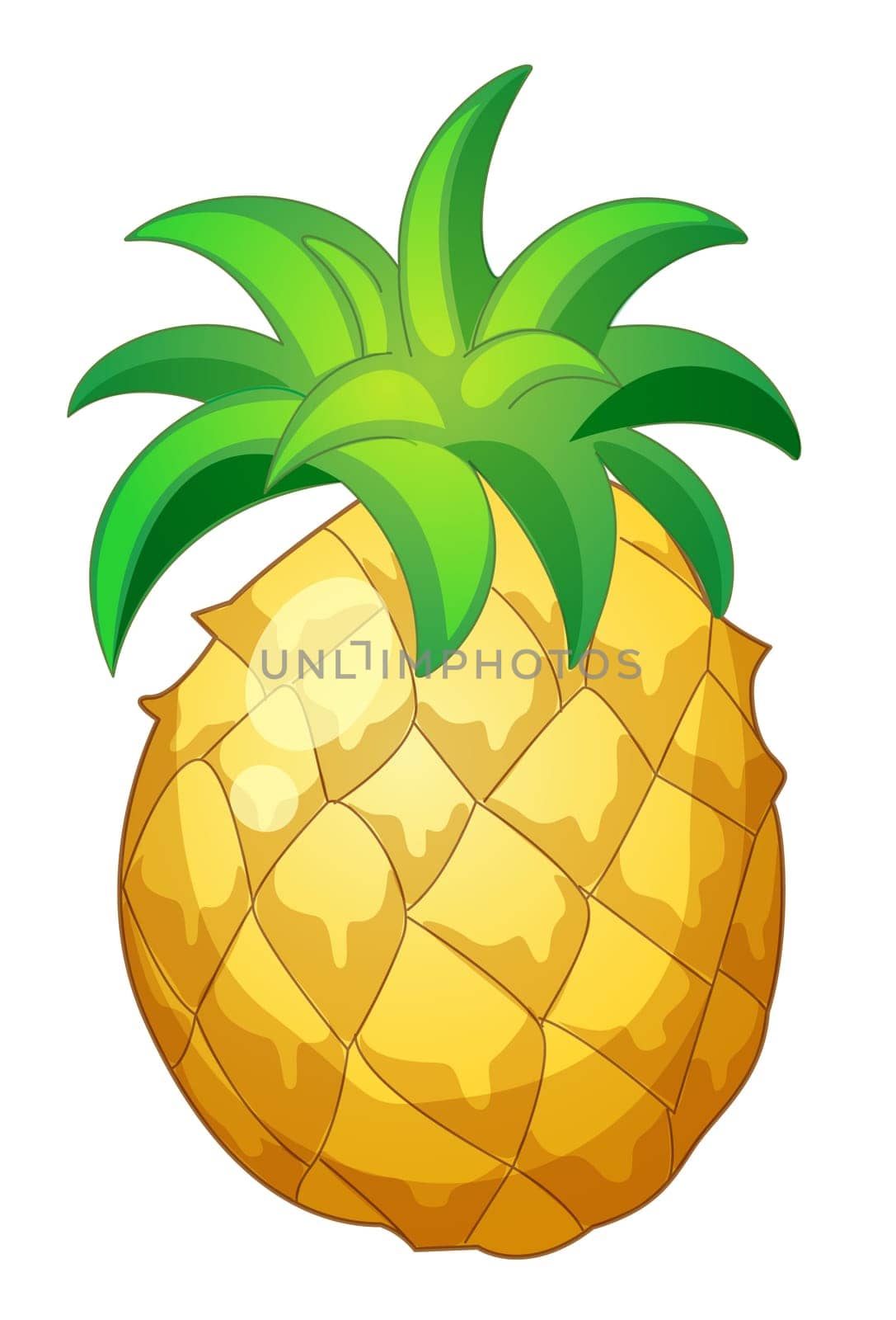 Illustration of friut on a white background