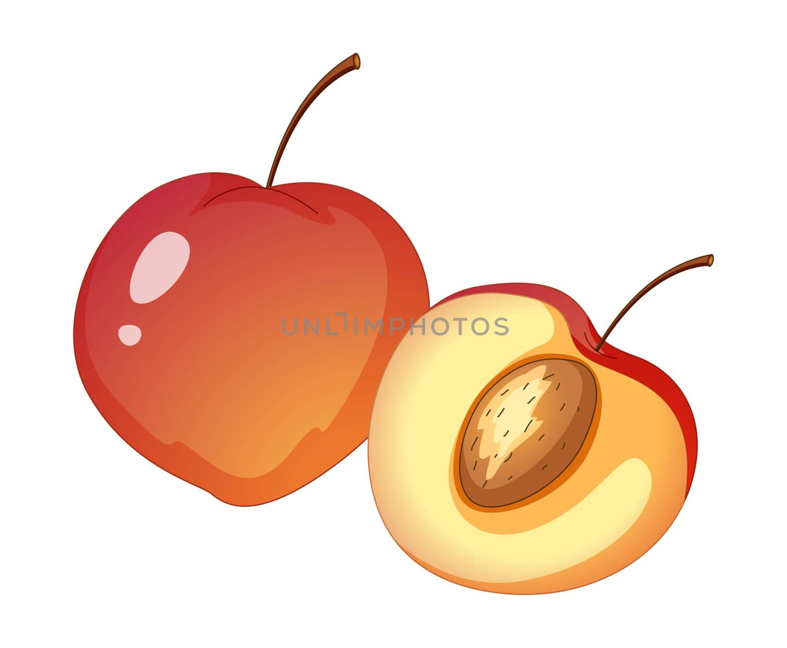 Illustration of friut on a white background