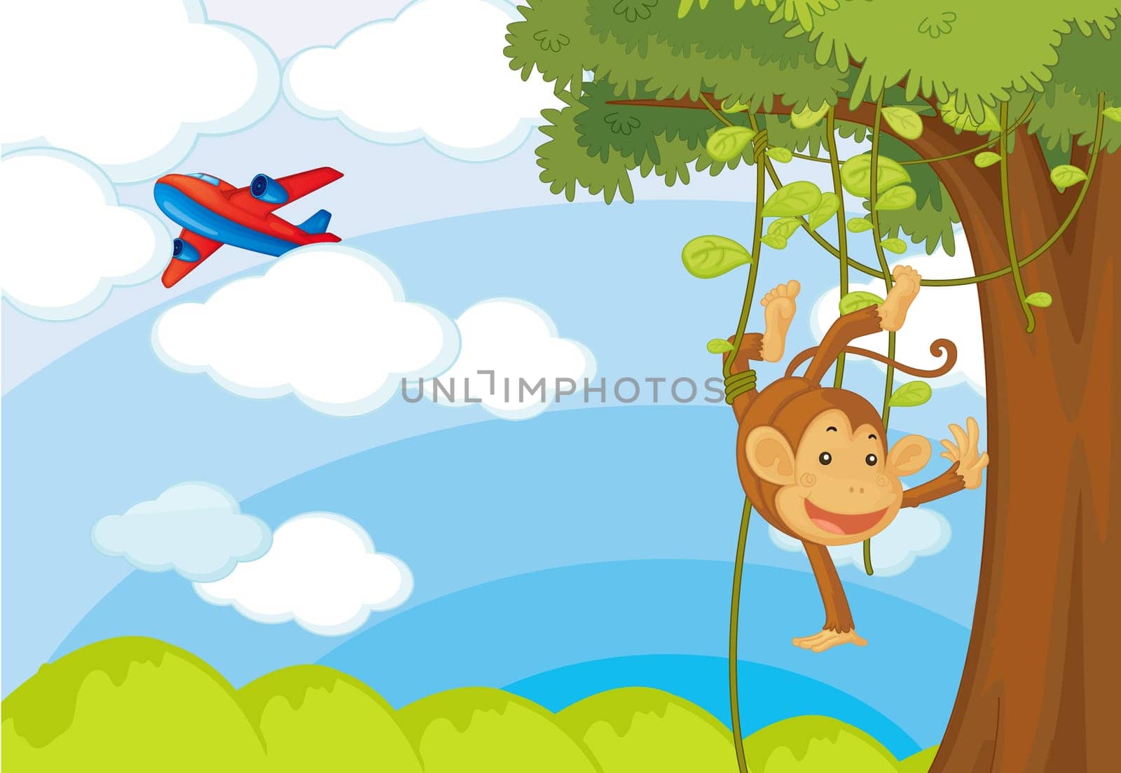 Detailed illustrations of a monkey in the jungle