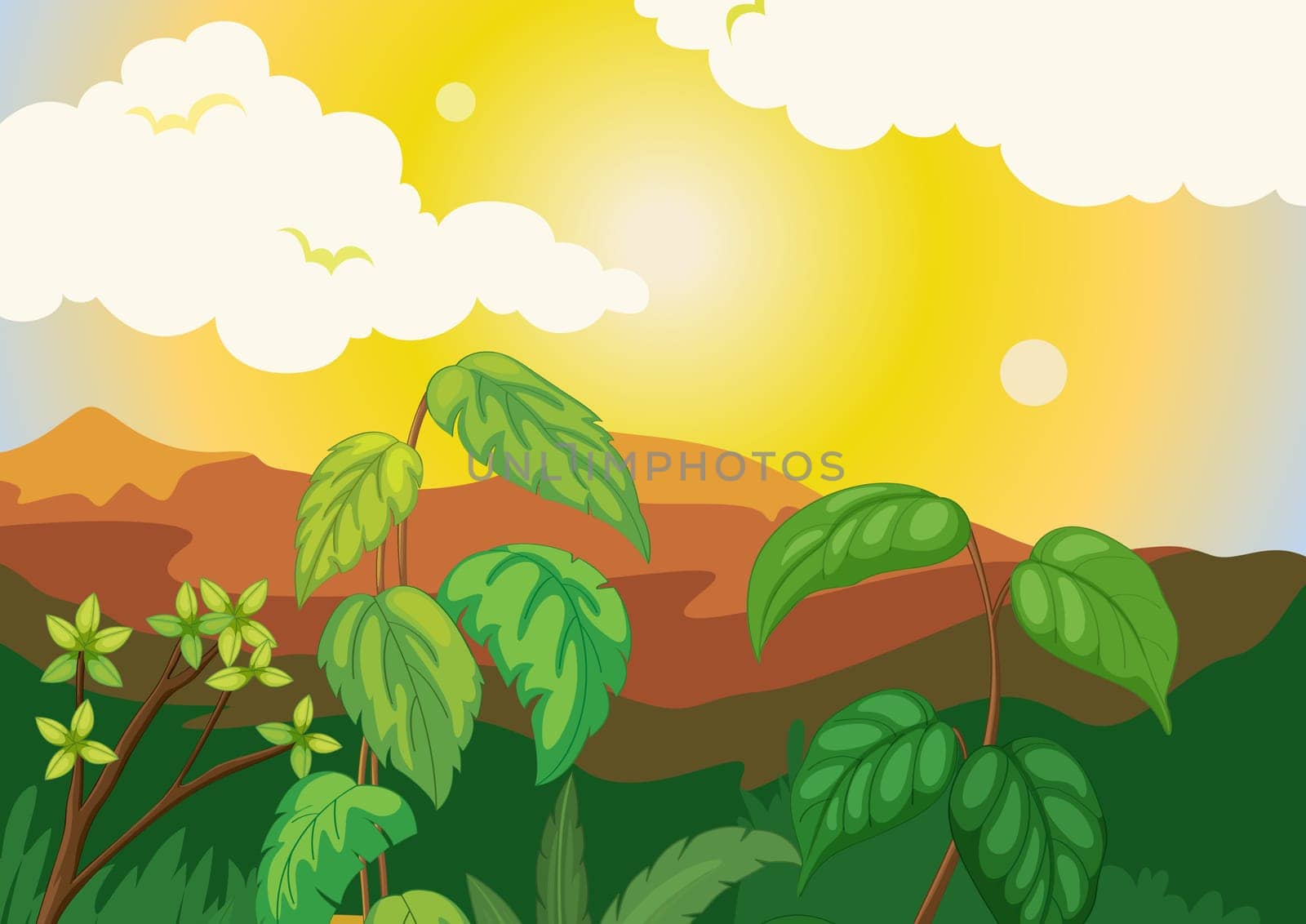 Nature background of a sunrise