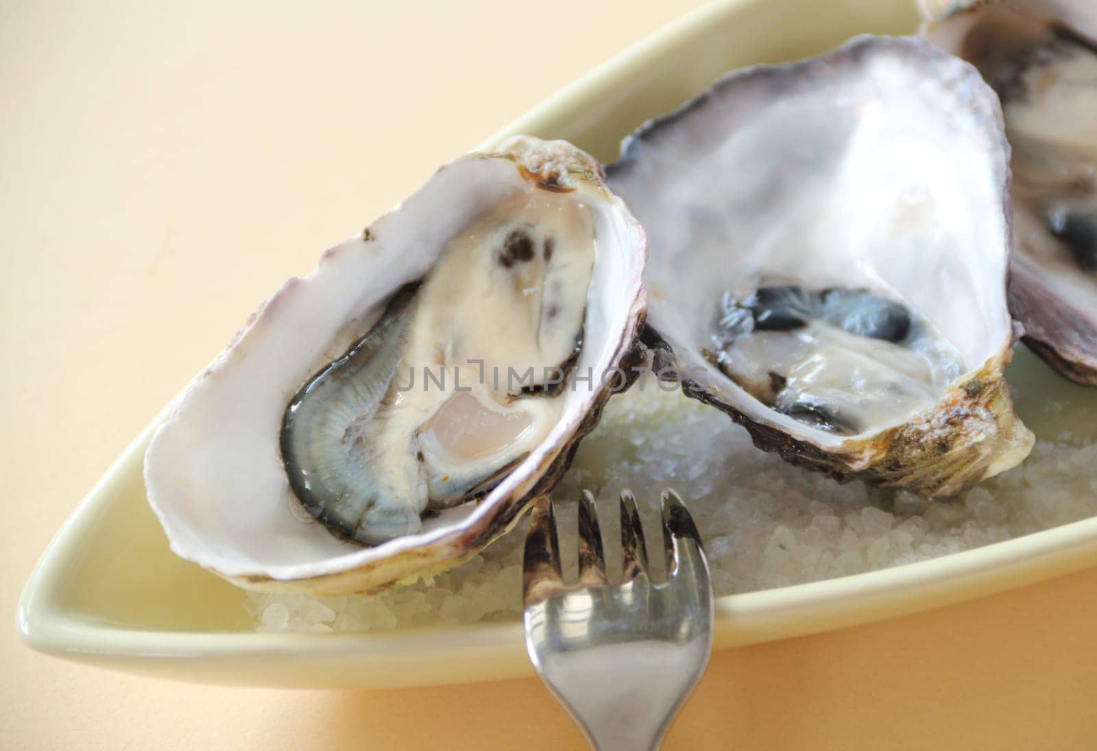 Fresh natural oysters in their shells ready to serve.