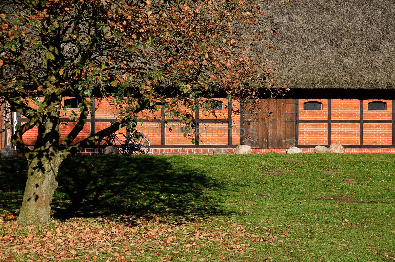 Farmer's cottage in autumn
