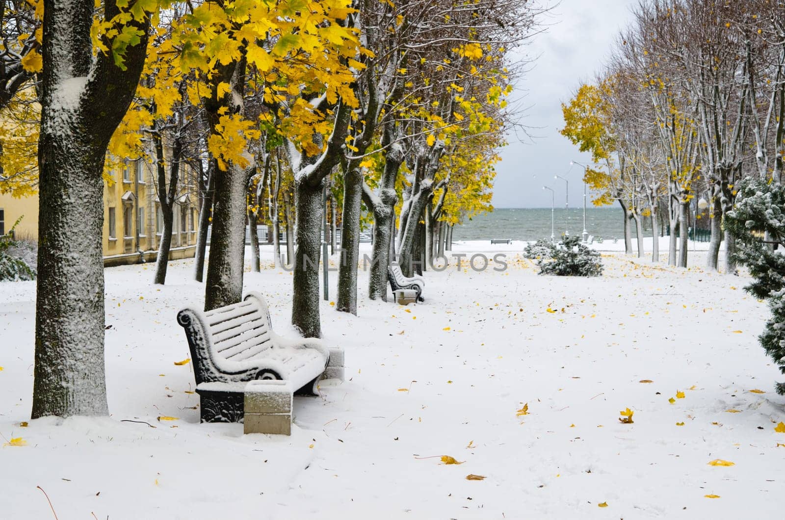 Alley in the Park later in the autumn. Snow storm