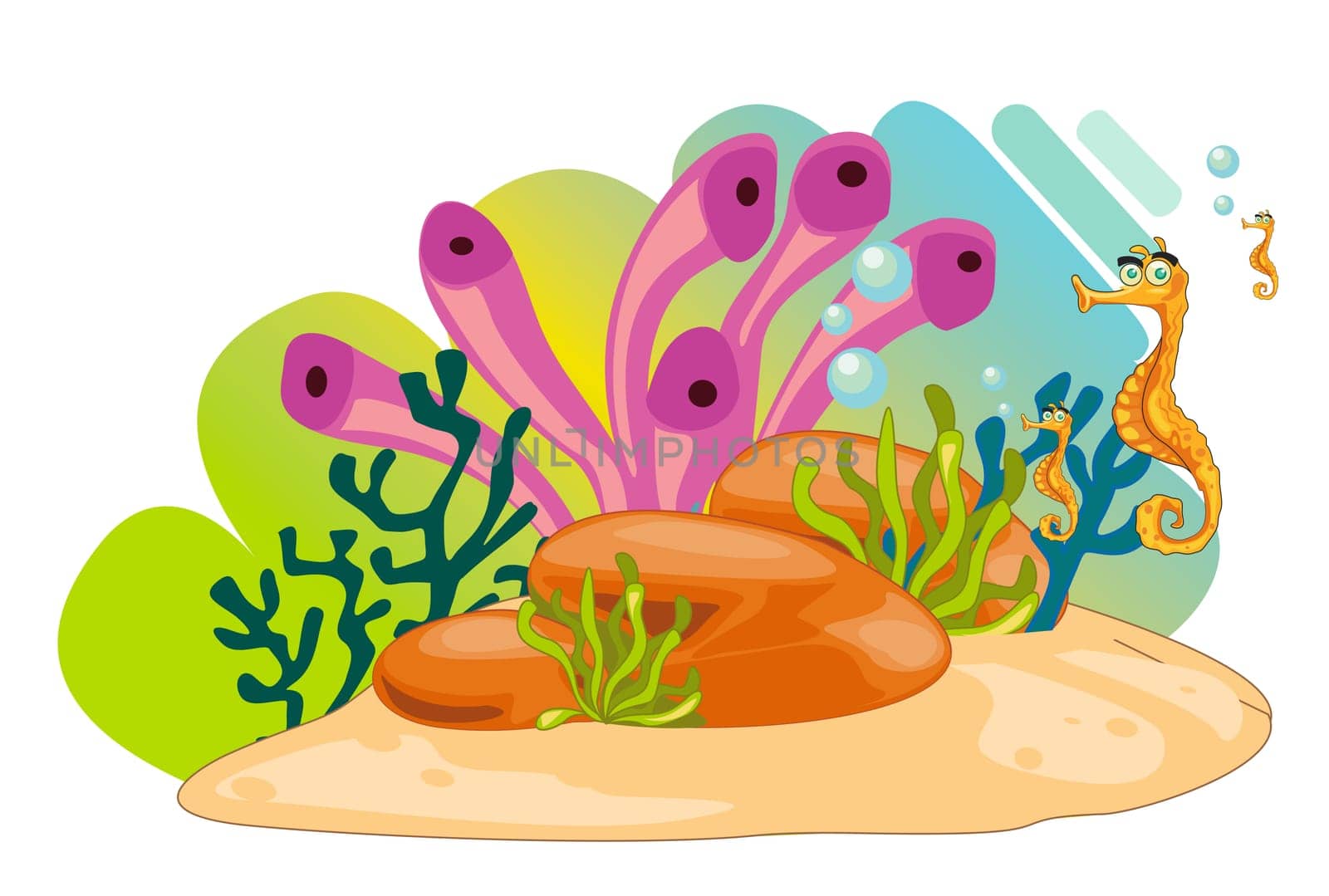 illustration of a sea animals on a white background