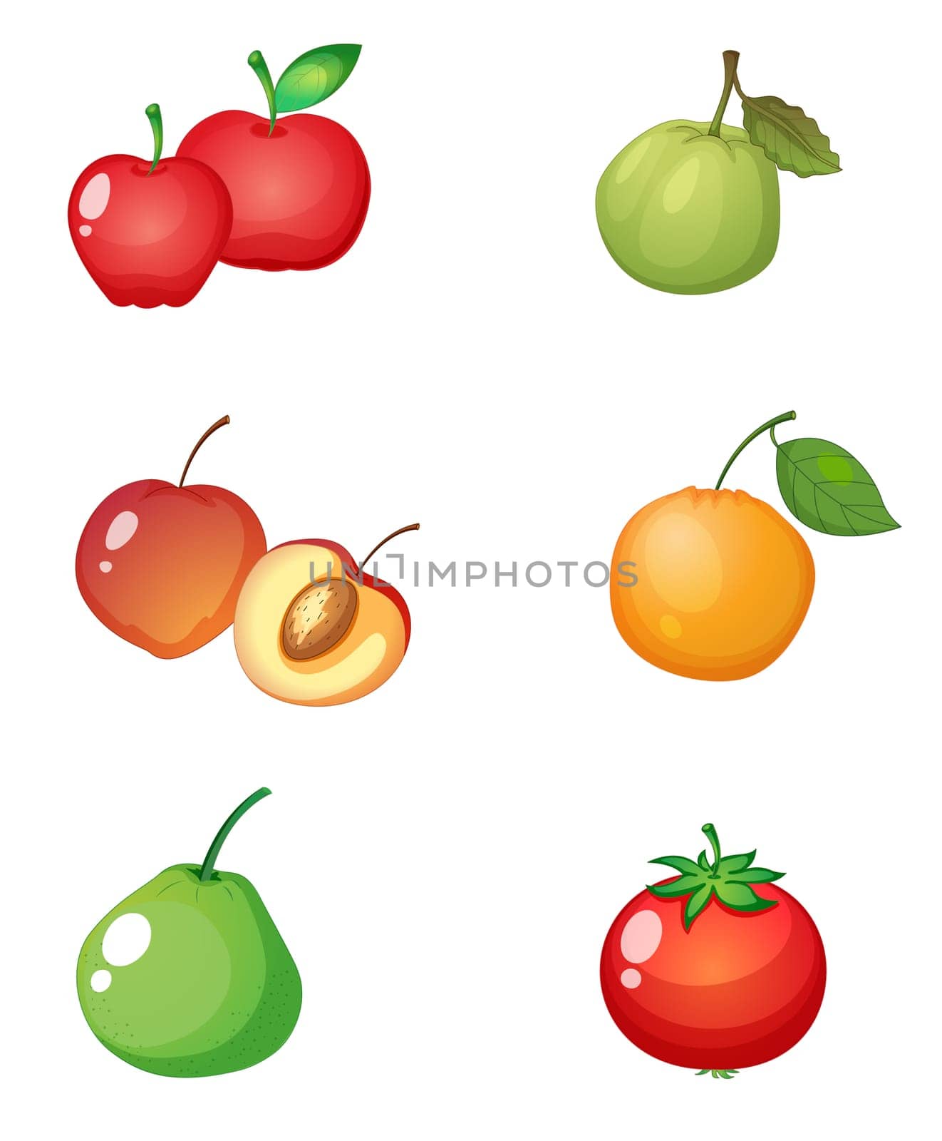 Illustration of fruits on a white background