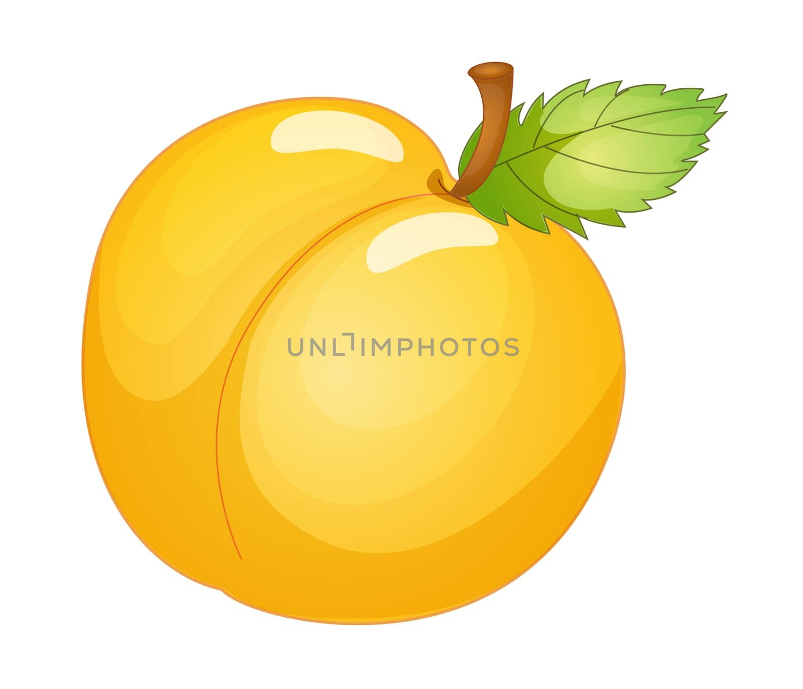 Detailed illustration of a pear on a white background