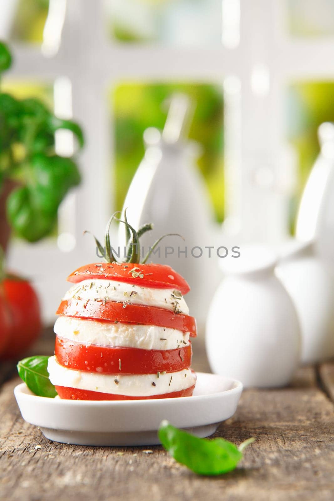 Healthy serving of alternating slices of cheese and ripe red tomato in an individual gourmet salad with copyspace