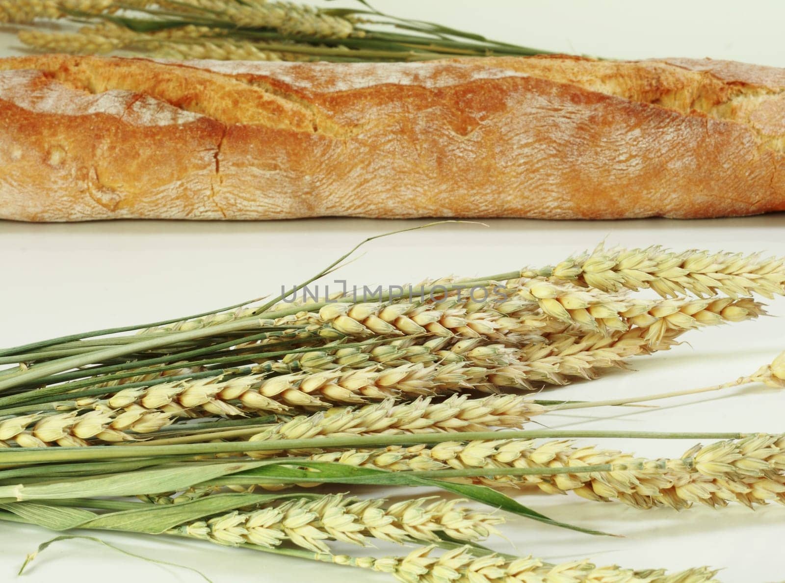 Bread