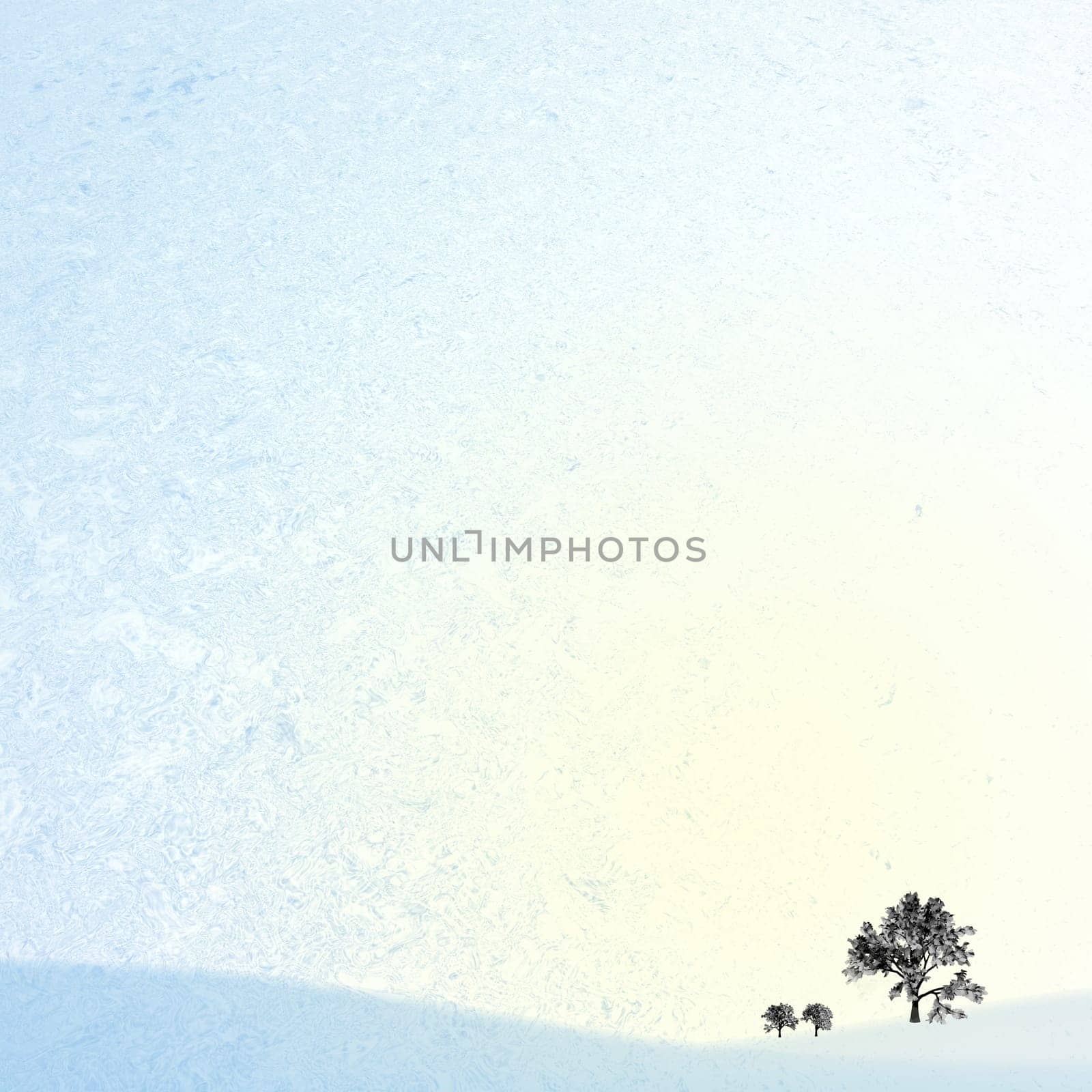 Light blue background with tree for adv or others purpose use