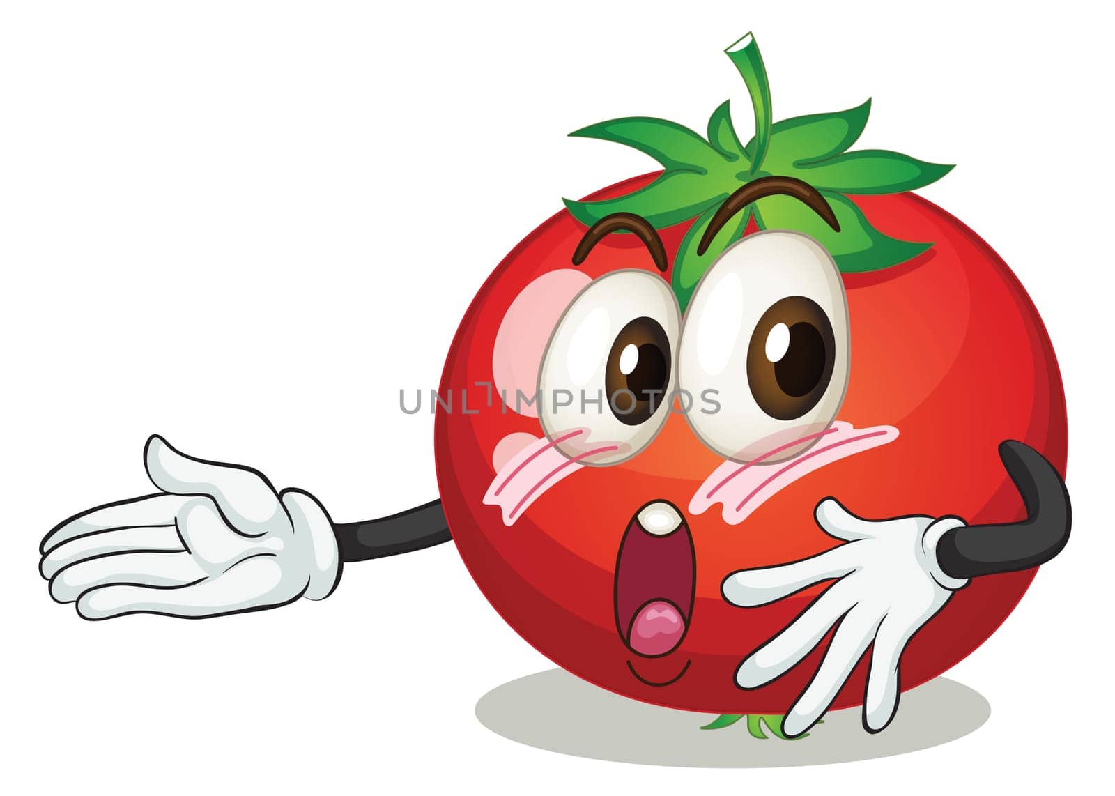 illustration of a tomato on a white background