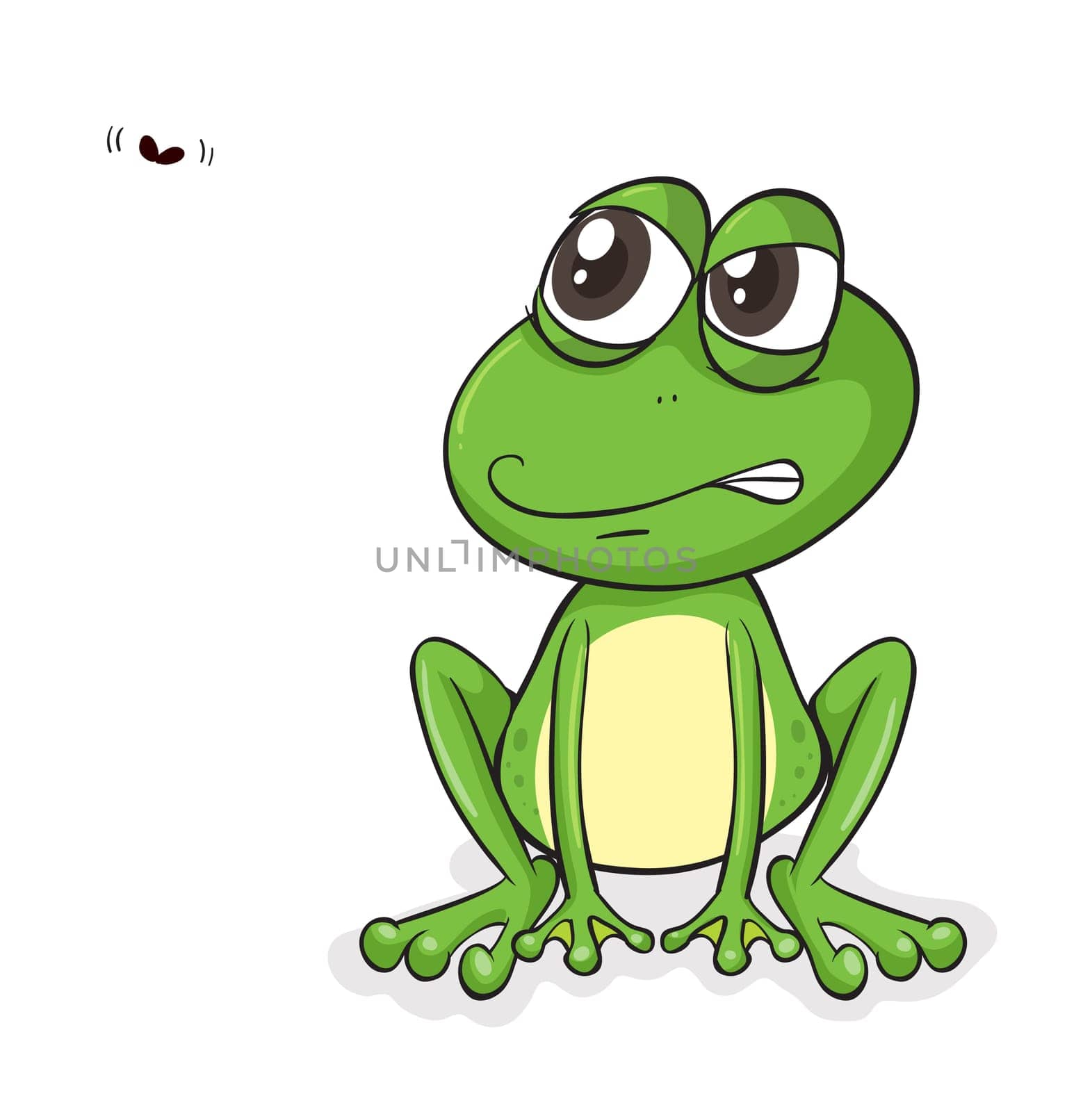 illustration of a frog and insect on a white background