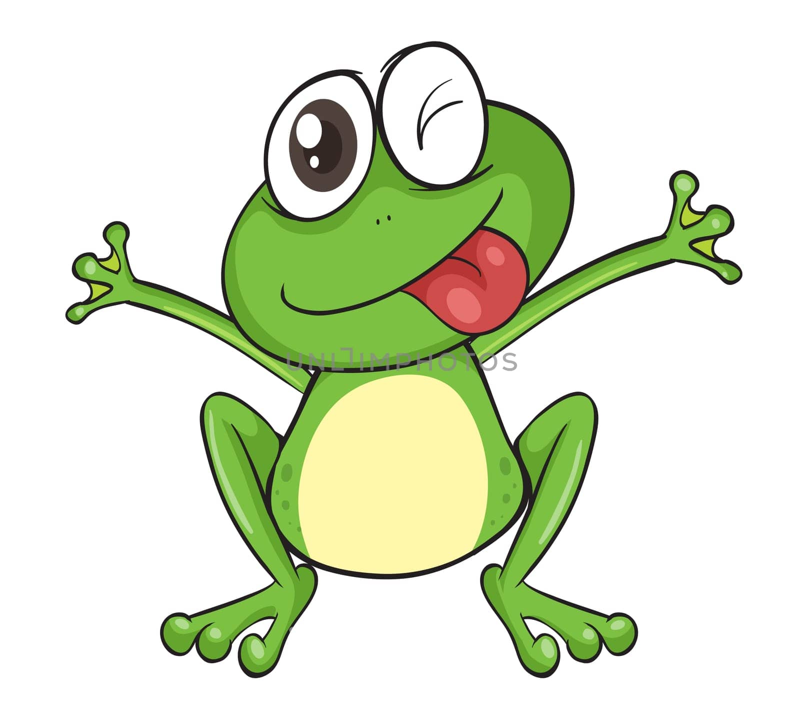 illustration of a frog on a white background