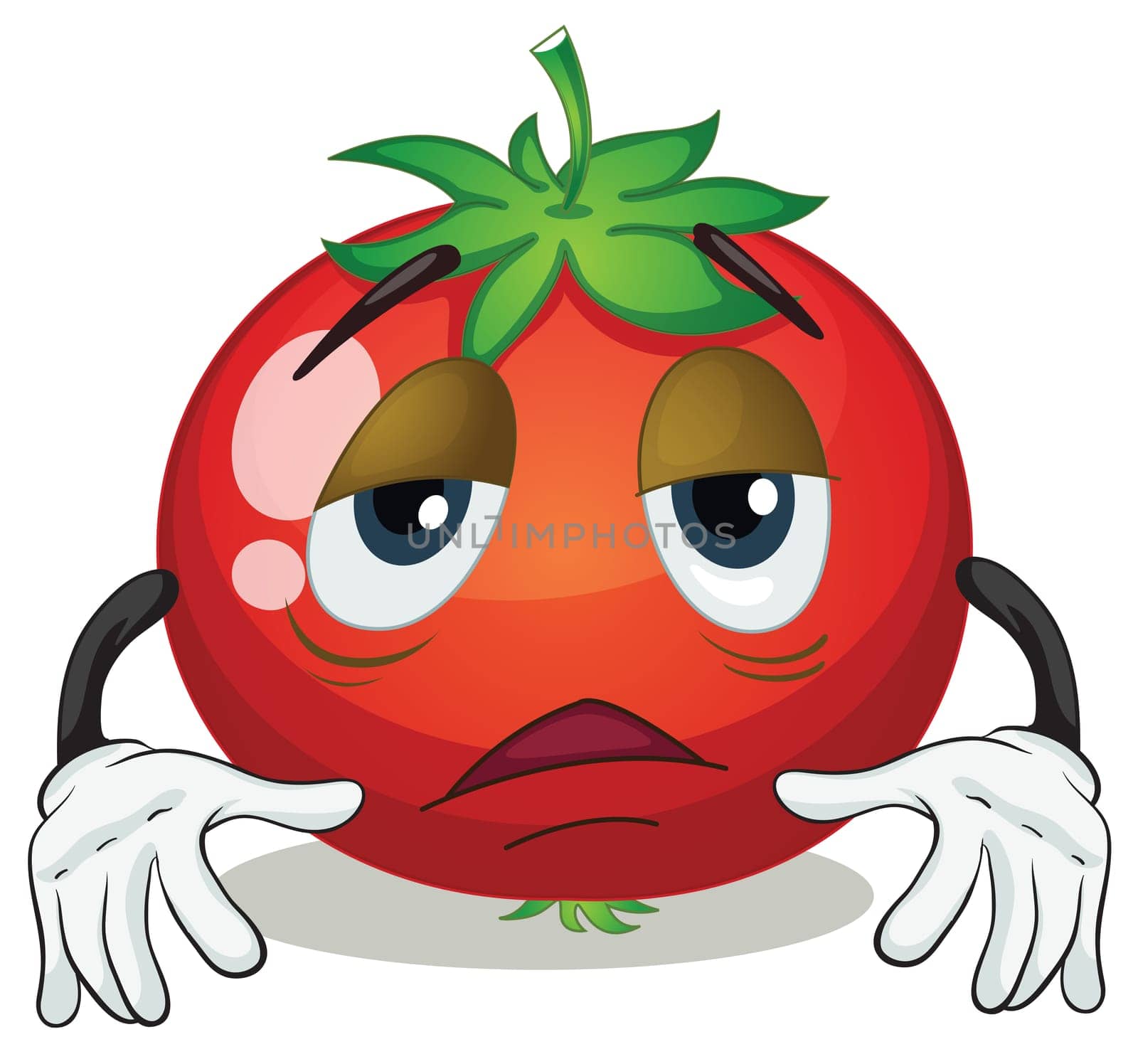 illustration of a tomato on a white background