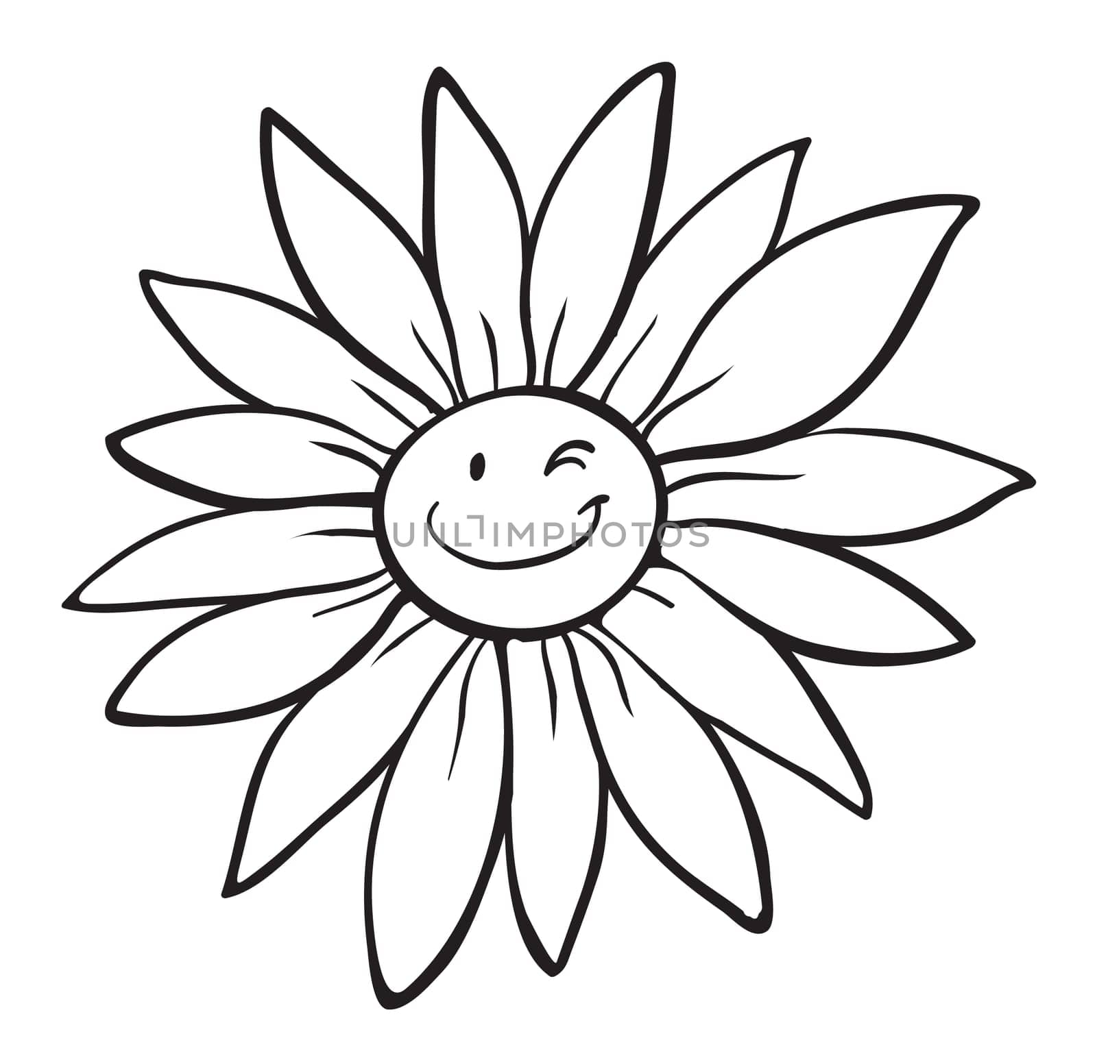 illustration of a flower sketch on white background