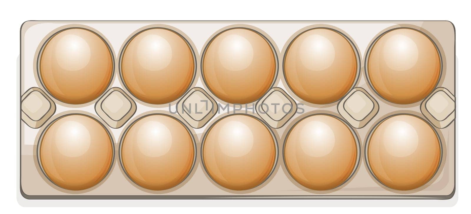 illustration of eggs on a white background