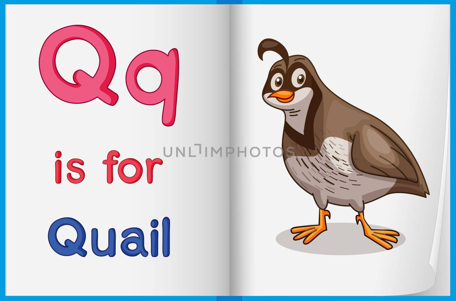 Illustrated voabulary learning sheet in a book