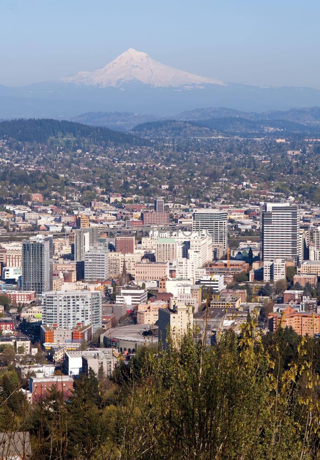 Portland Oregon downtown with Mount Hood standing in the background
