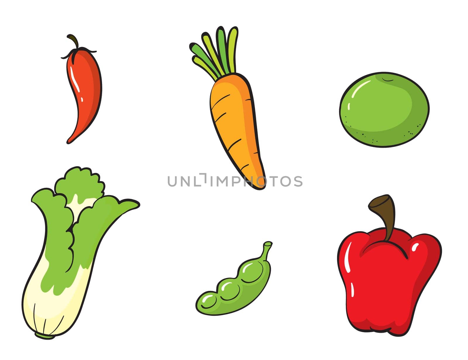 illustration of various vegetables on a white background