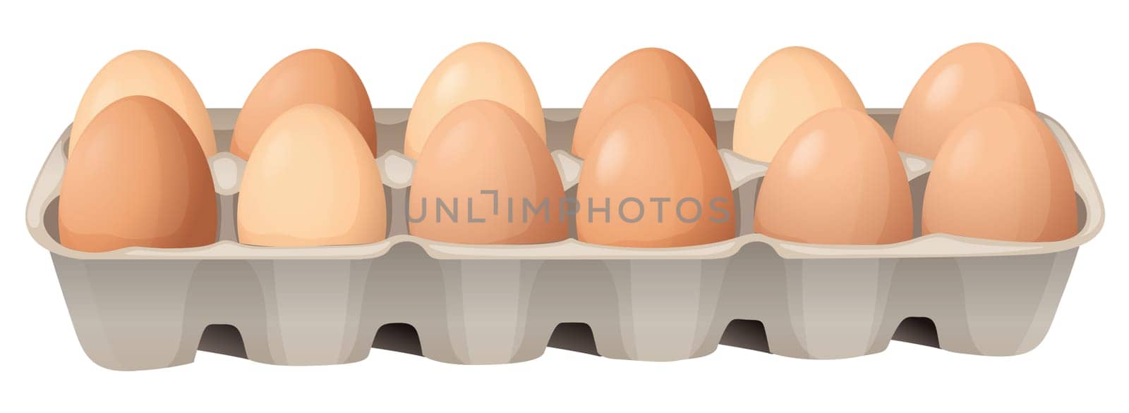 illustration of eggs on a white background