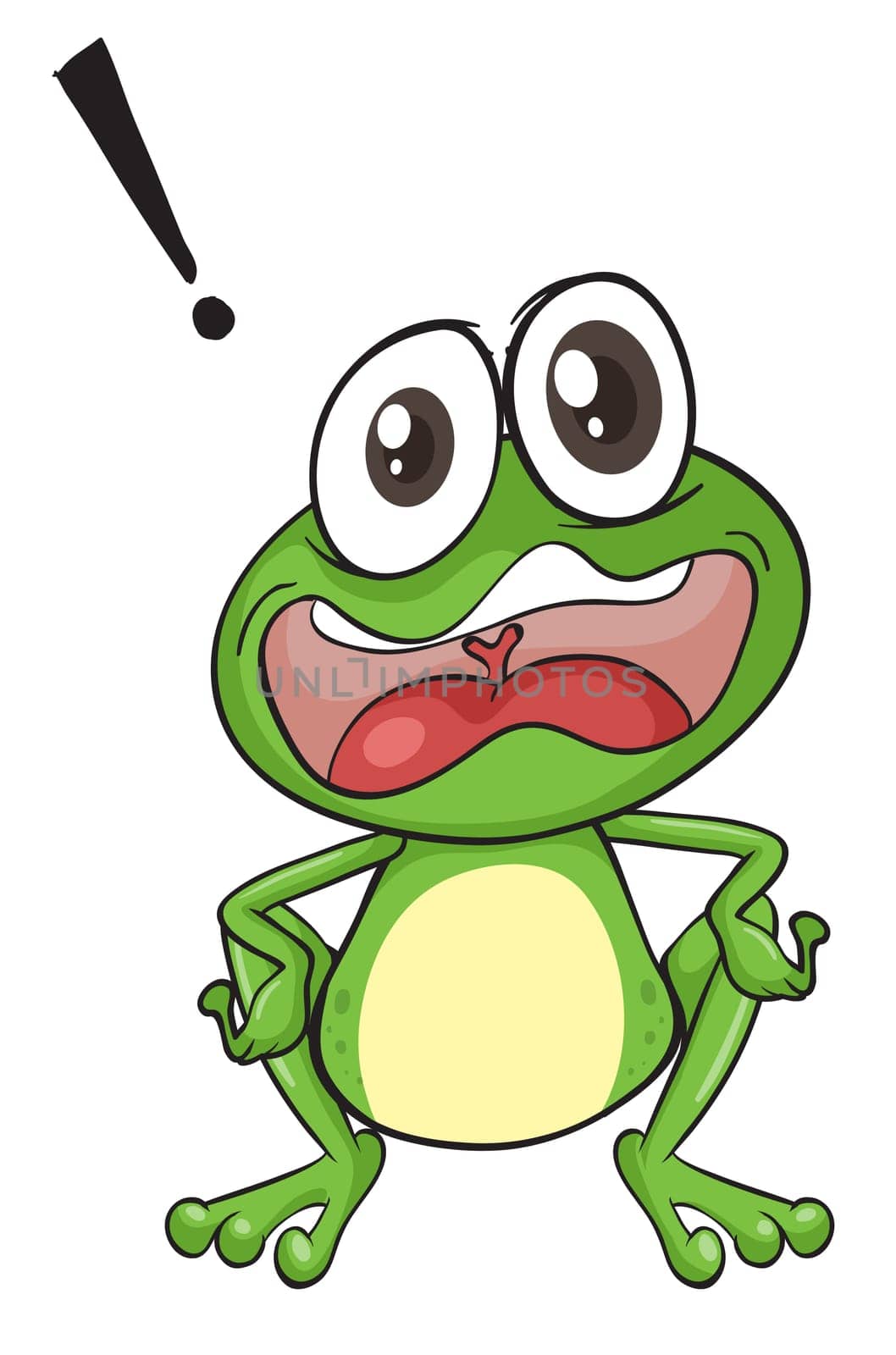 illustration of a green frog on a white background