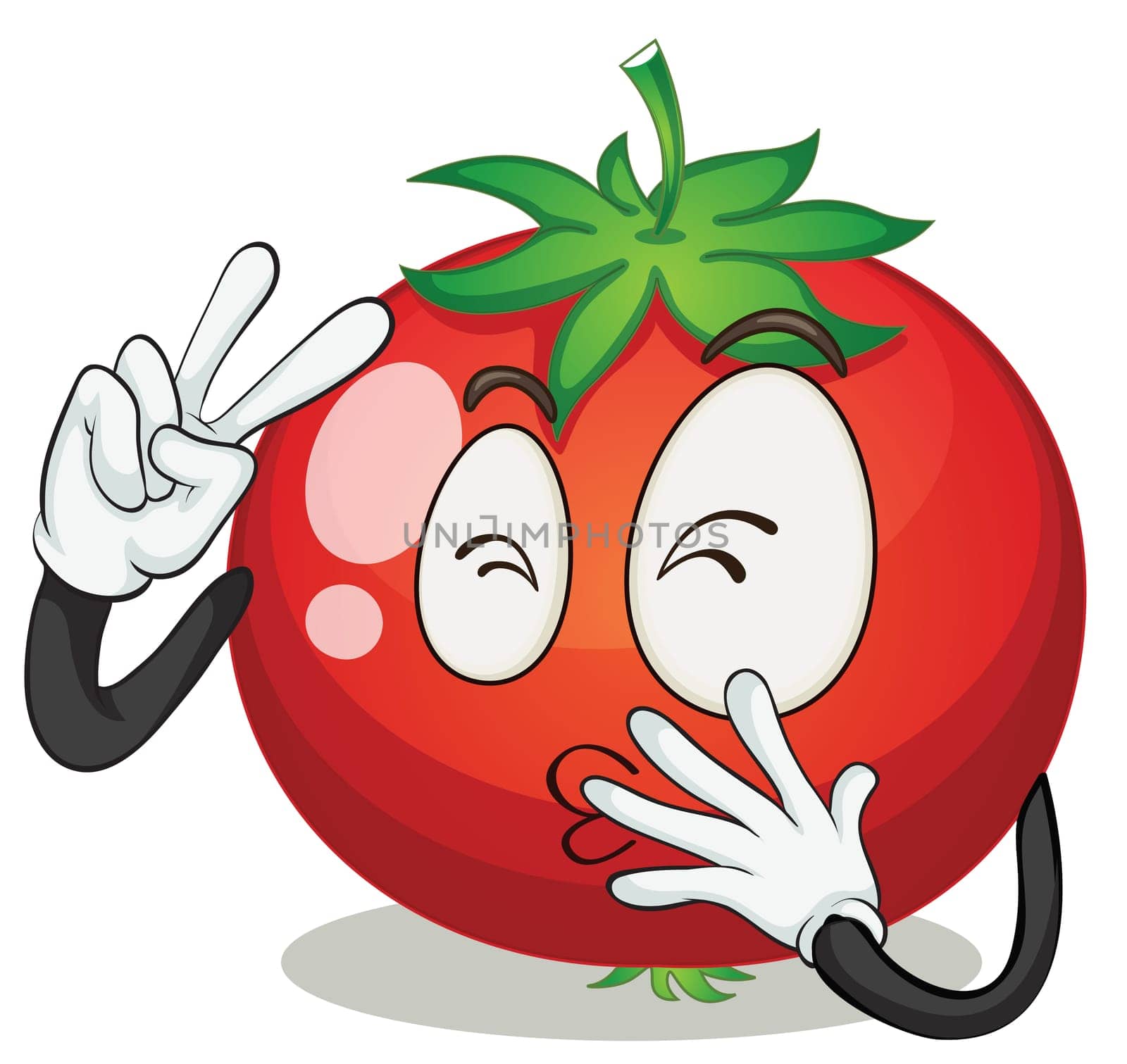 illustration of a tomato on a white background