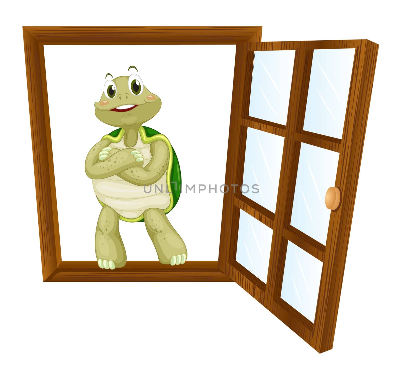 detailed illustration of a tortoise in a window