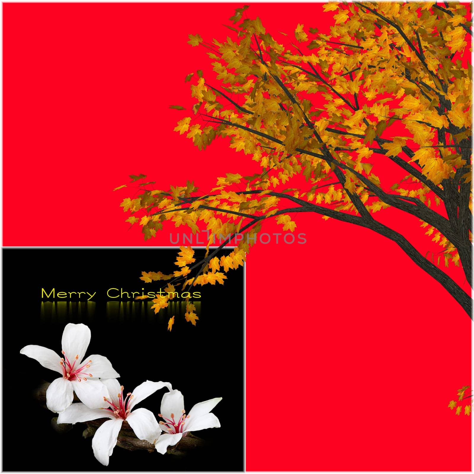 Christmas background design for adv or others purpose use