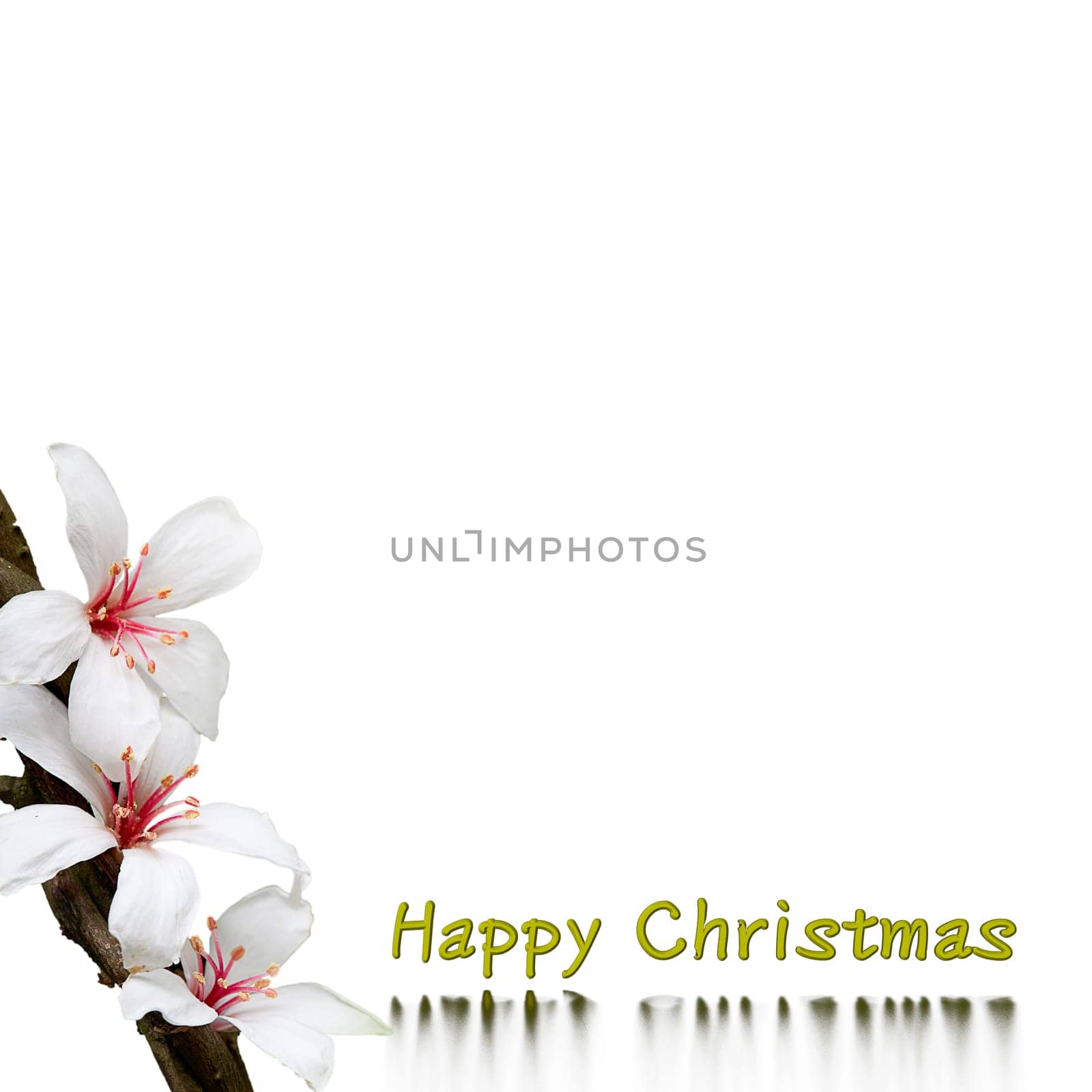 Christmas background design for adv or others purpose use