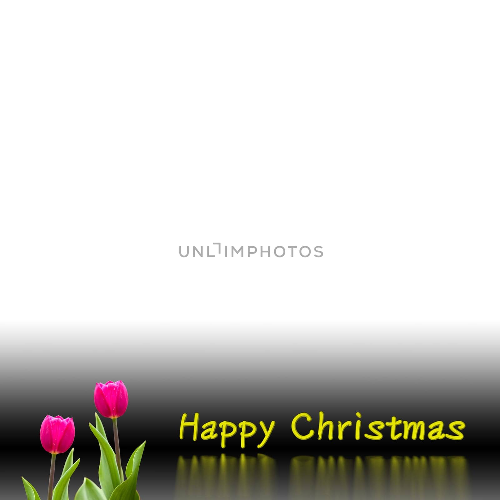 Christmas background design for adv or others purpose use