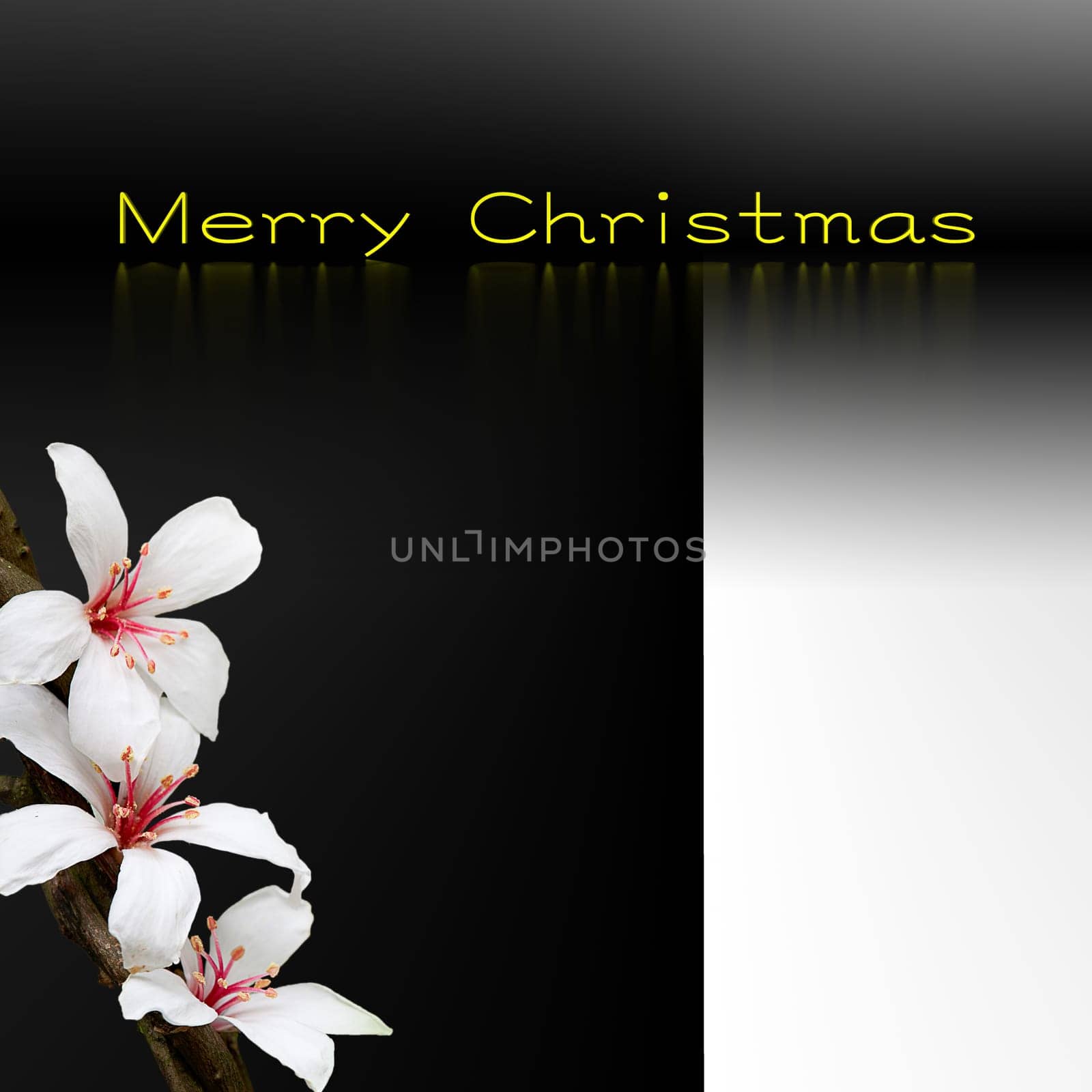 Christmas background design for adv or others purpose use