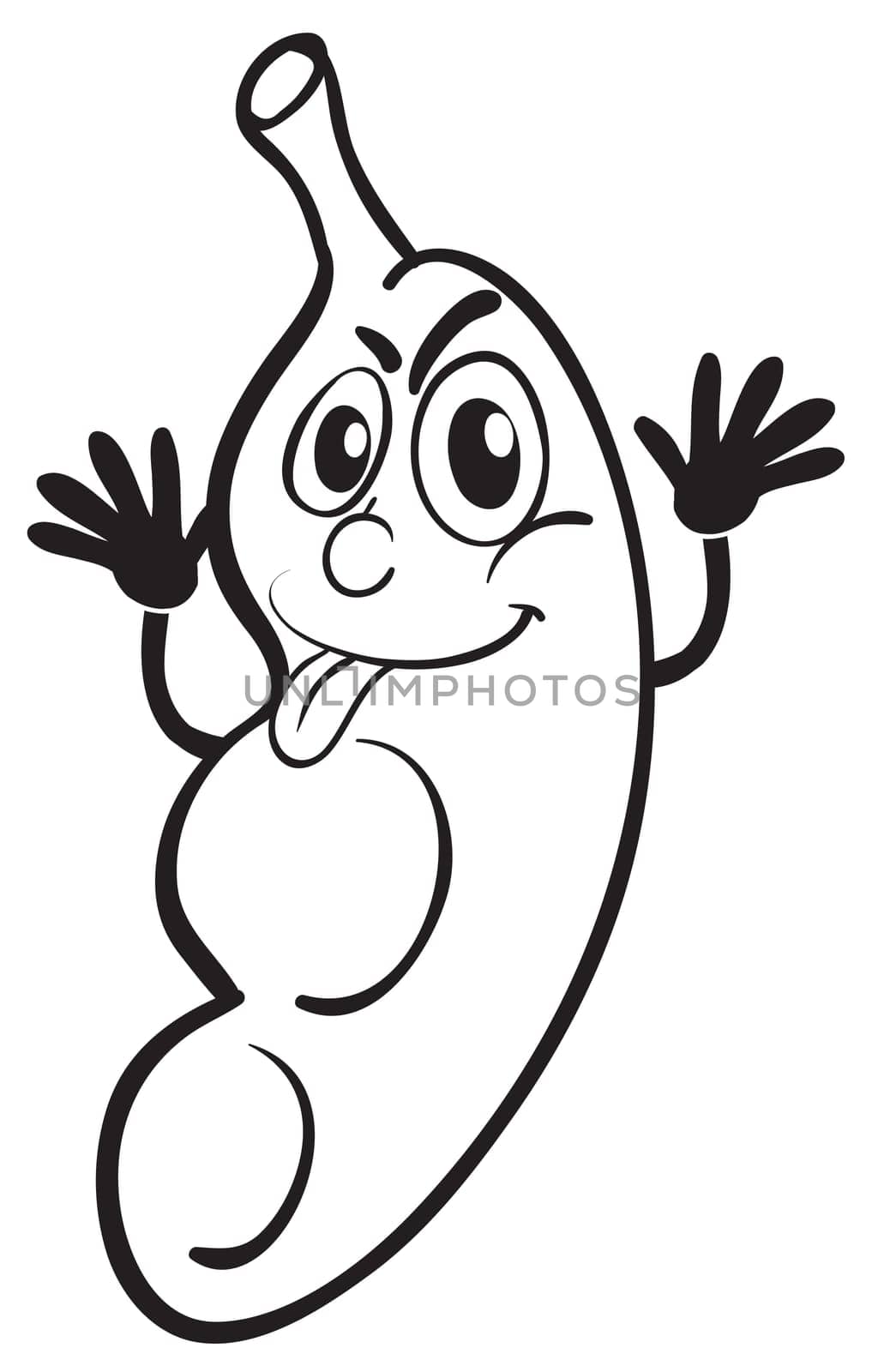illustration of a peanut sketch on a white background