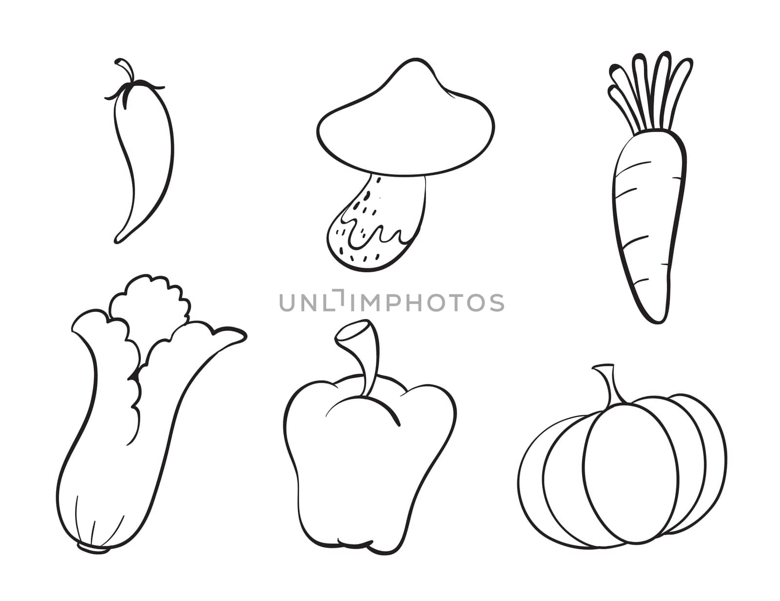 illustration of various vegetables on a white background