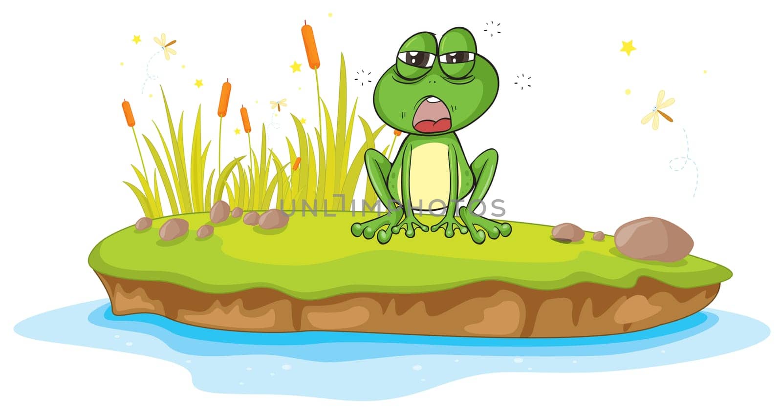illustration of a frog and a water on a white background
