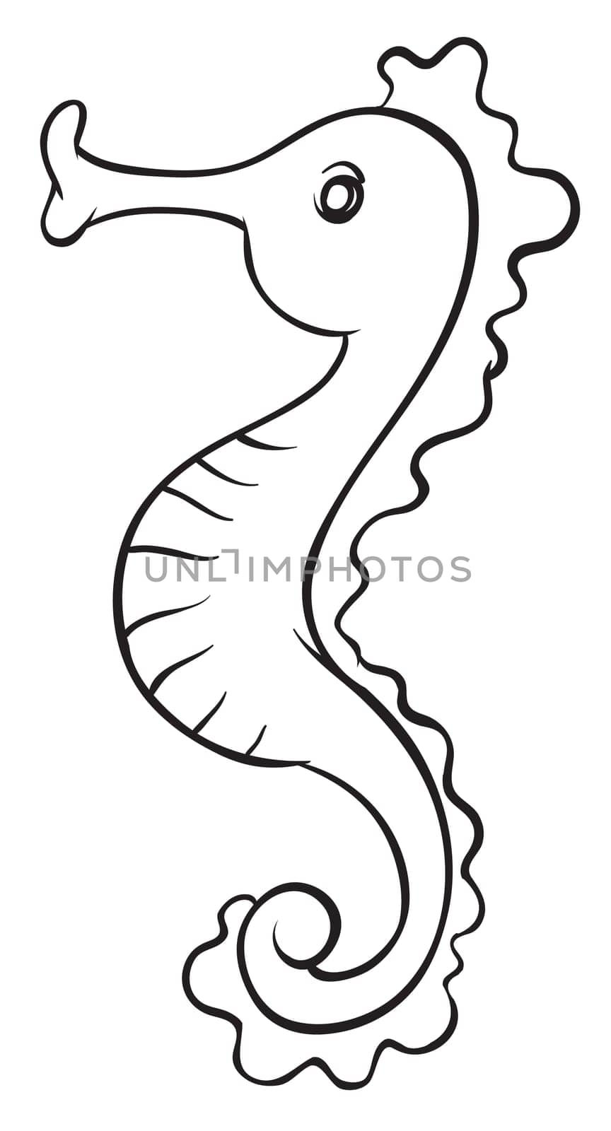 illustration of a sea horse on a white background