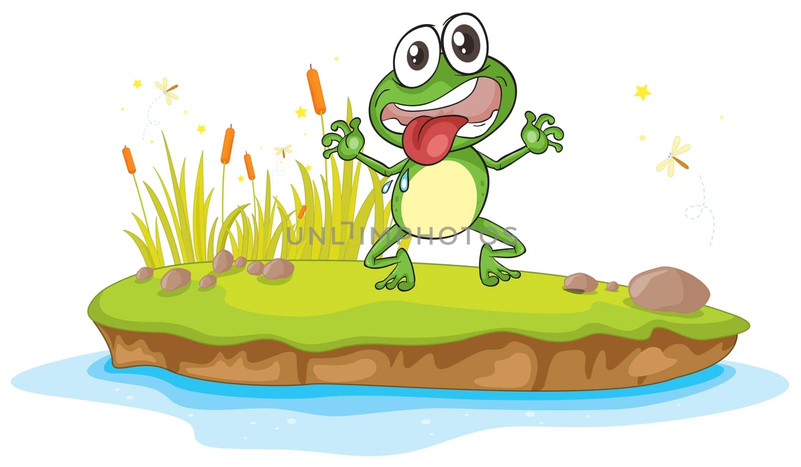 illustration of a frog and a water on a white background