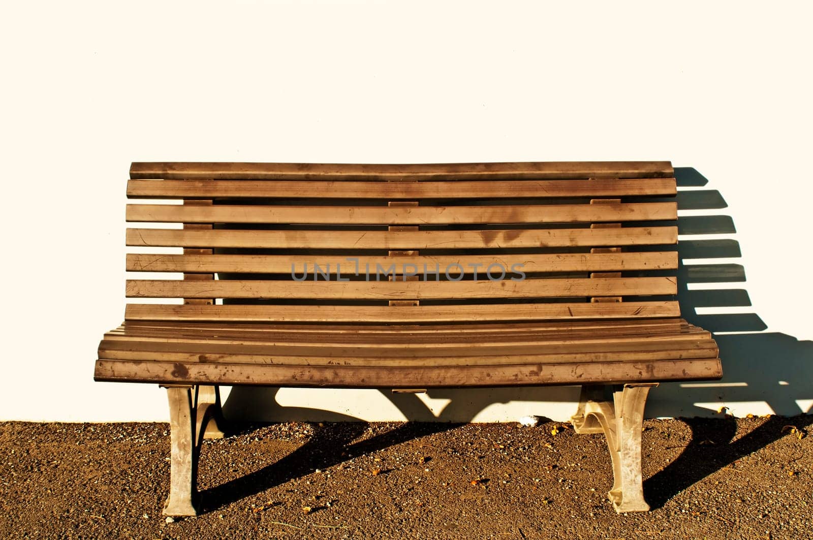 Garden bench in the sun