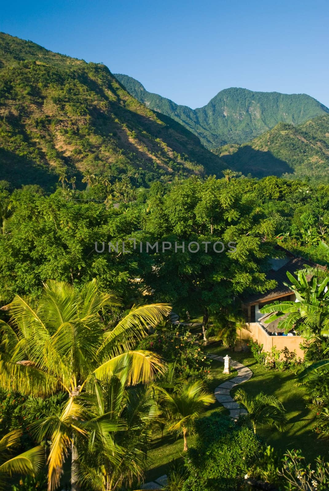 Forest path and the hills of Bali
