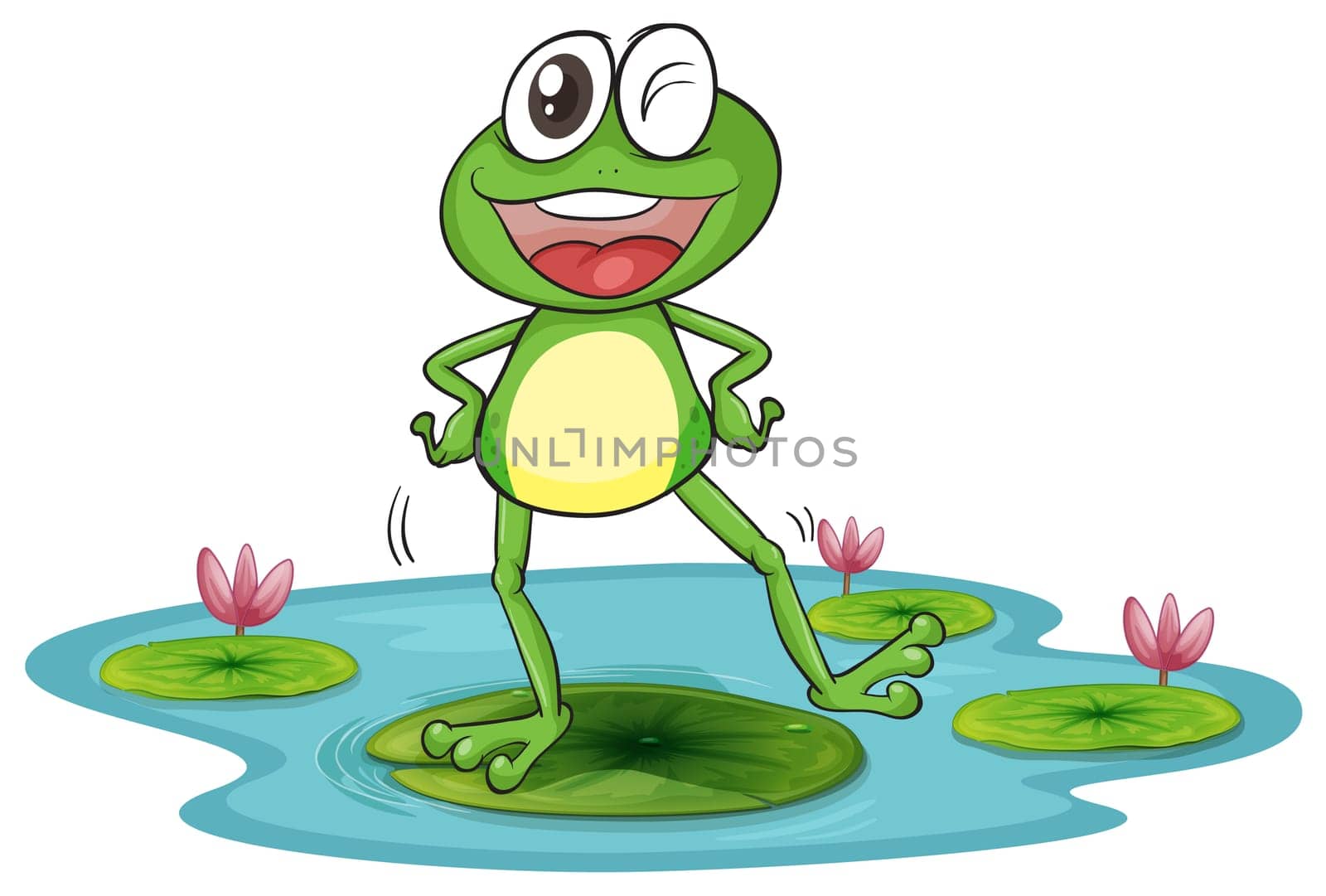 illustration of a frog and a water on a white background