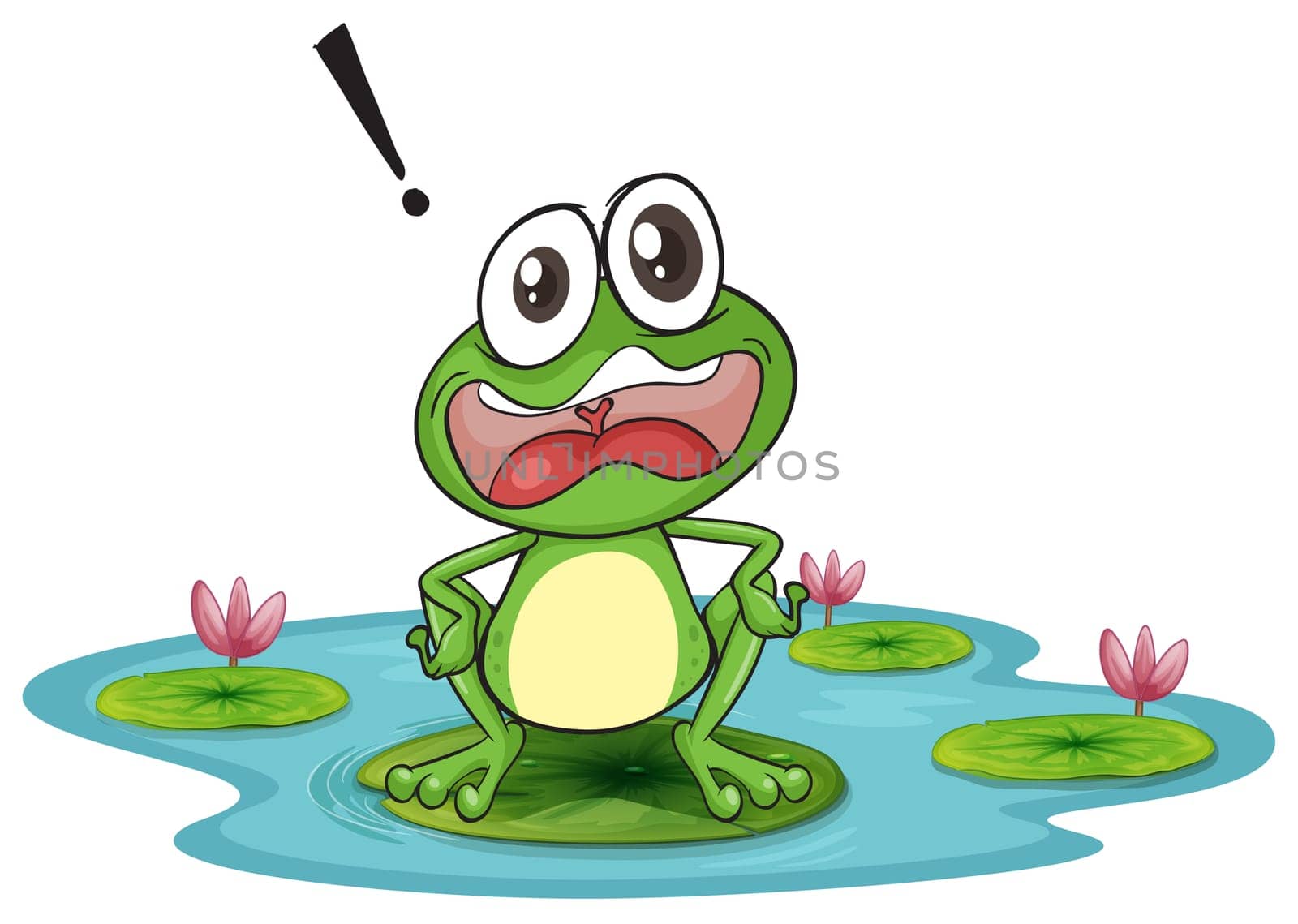 illustration of a frog and a water on a white background