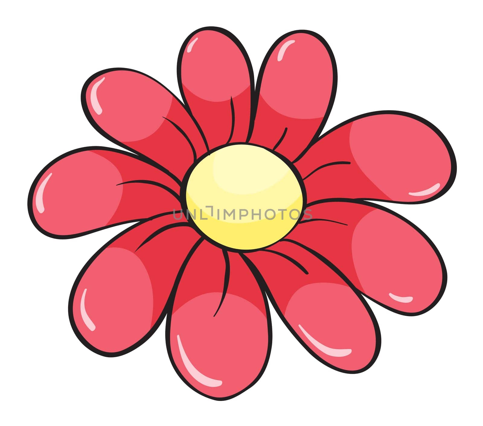 detailed illustration of a red flower on a white background